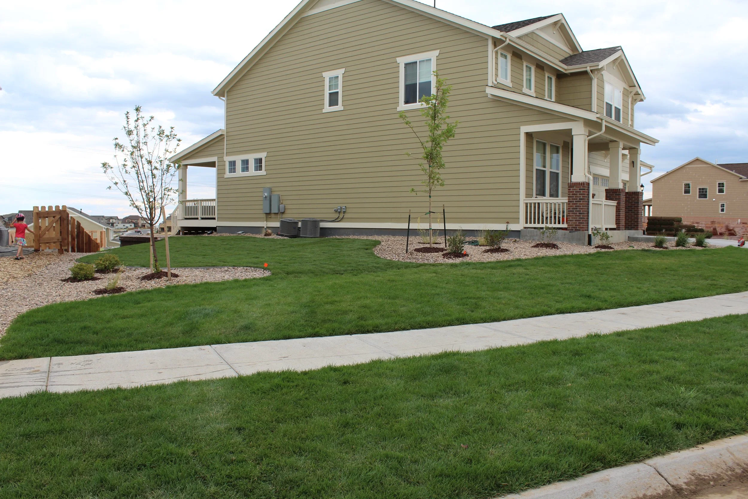 Arvada front yard sod river rock maple trees