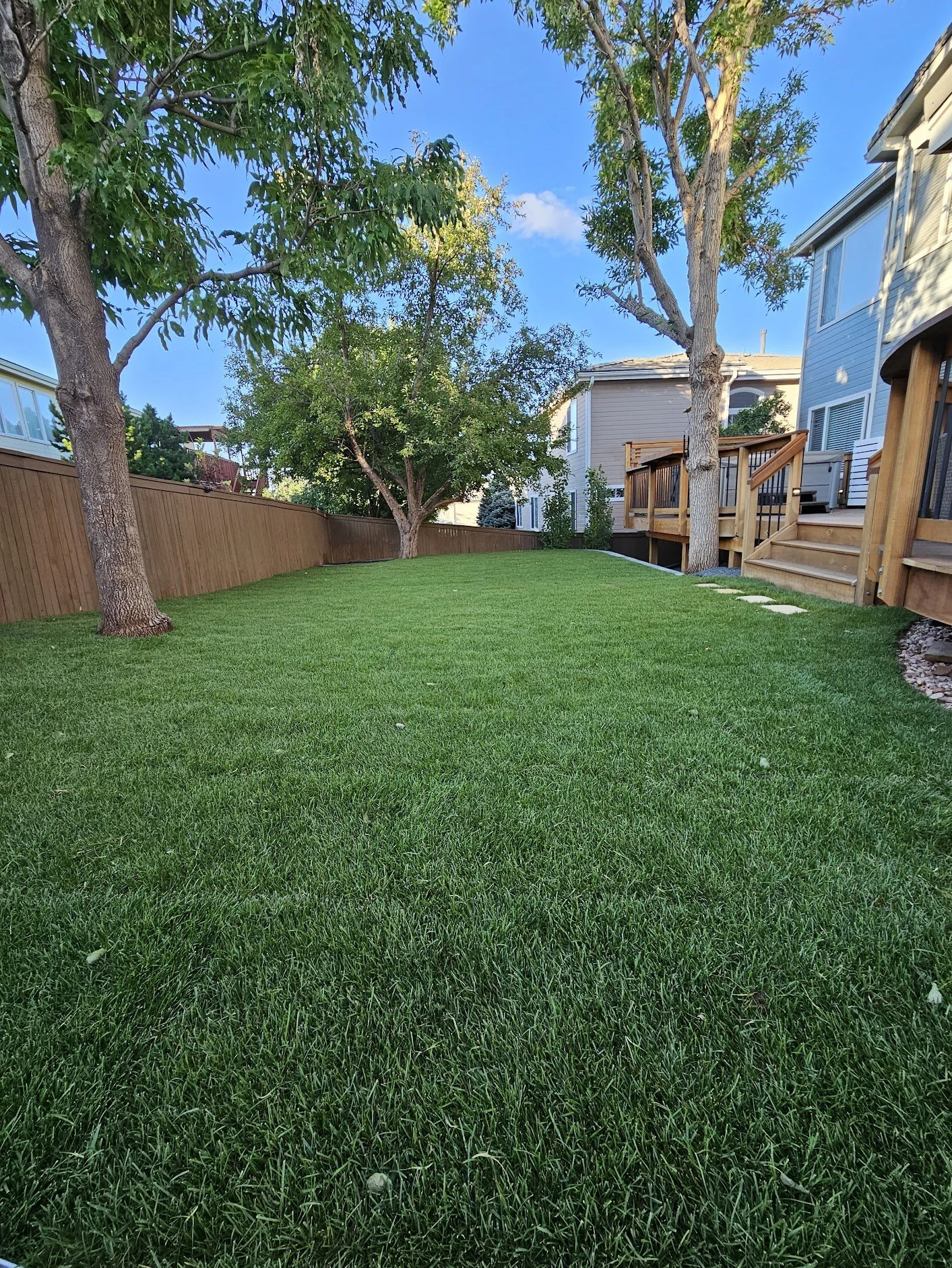 Highlands Ranch back yard sod