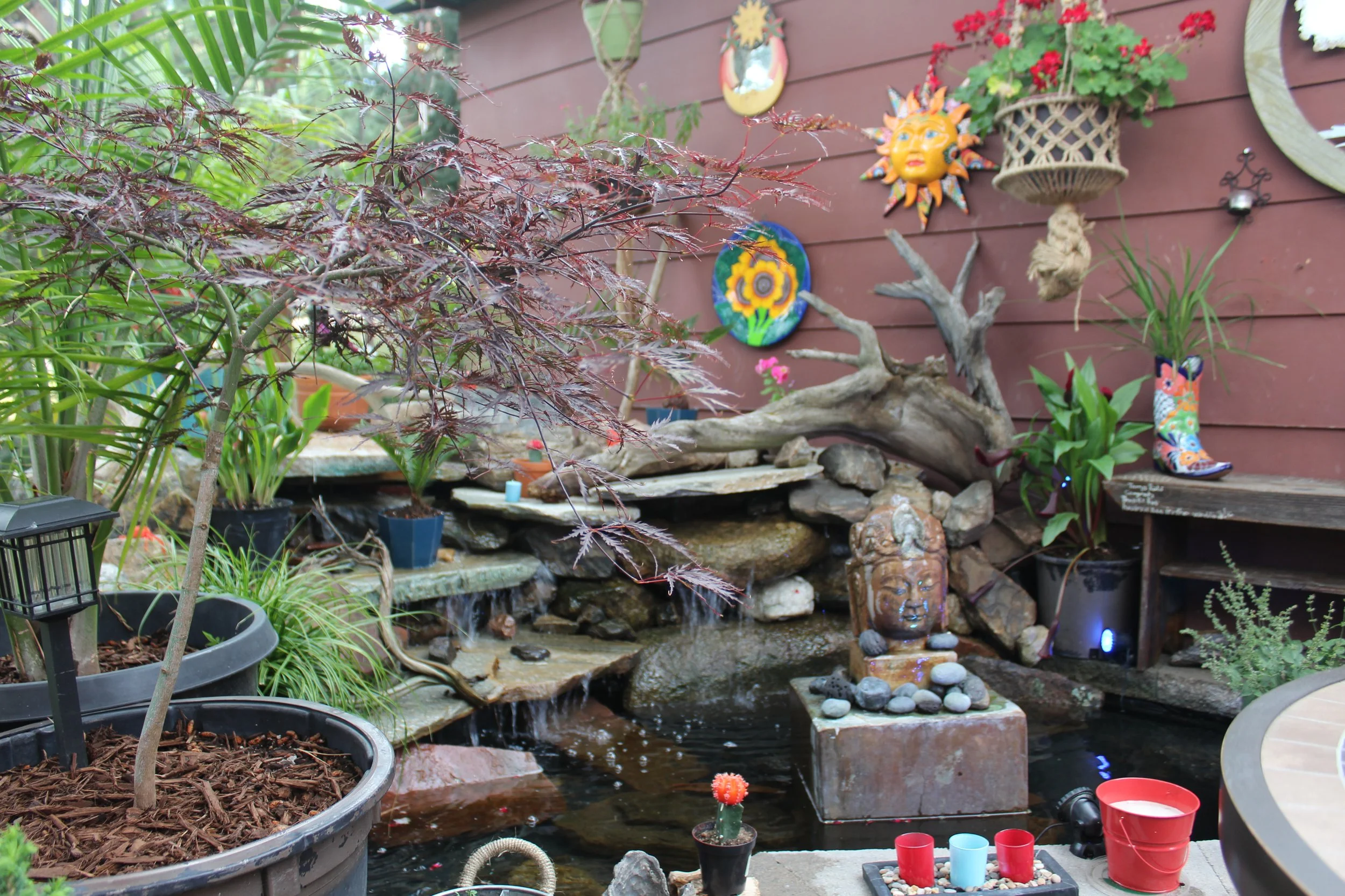 Flagstone water falls with large pond surrounded by plants, driftwood and flowers