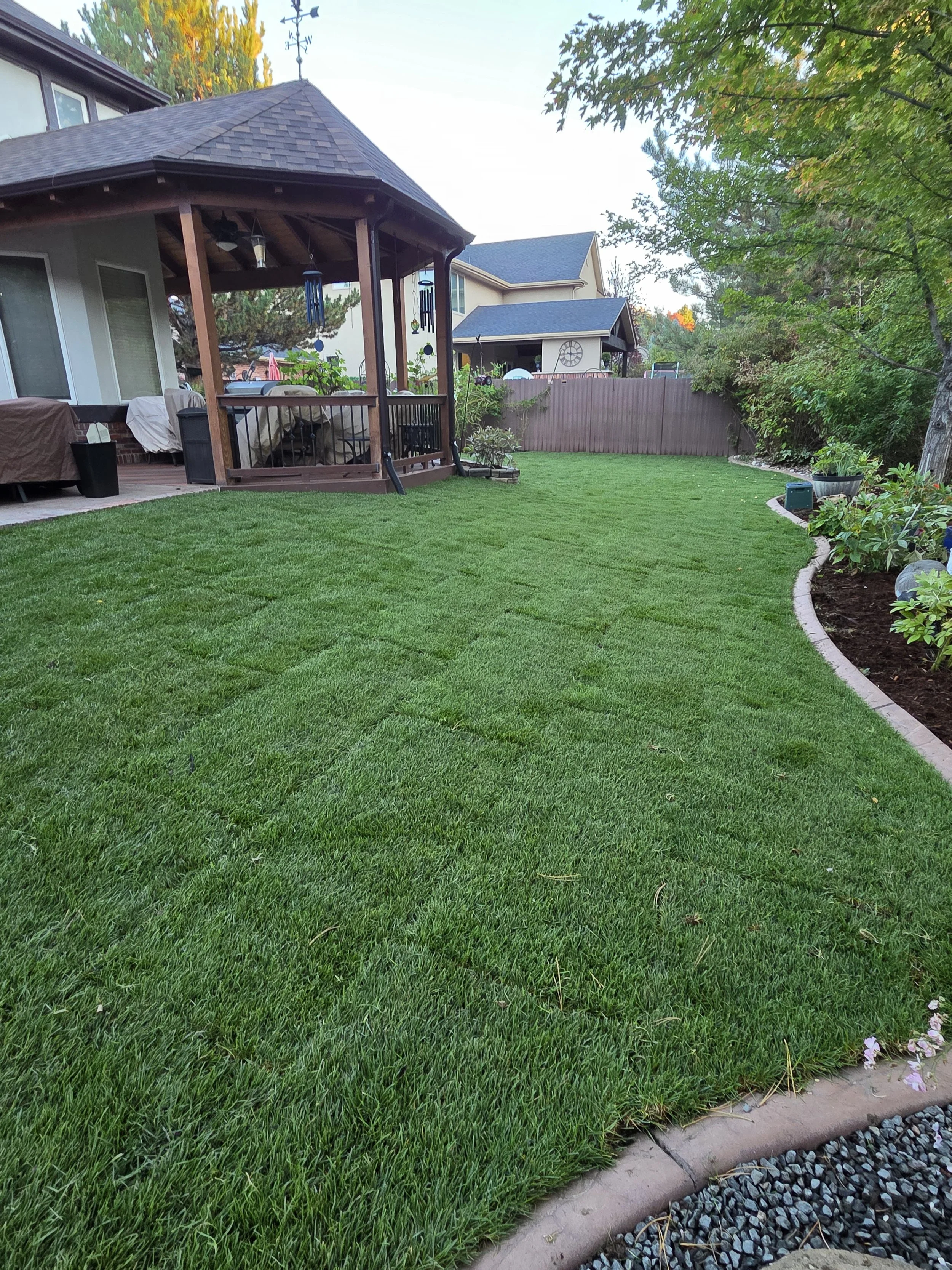 Littleton back yard sod 