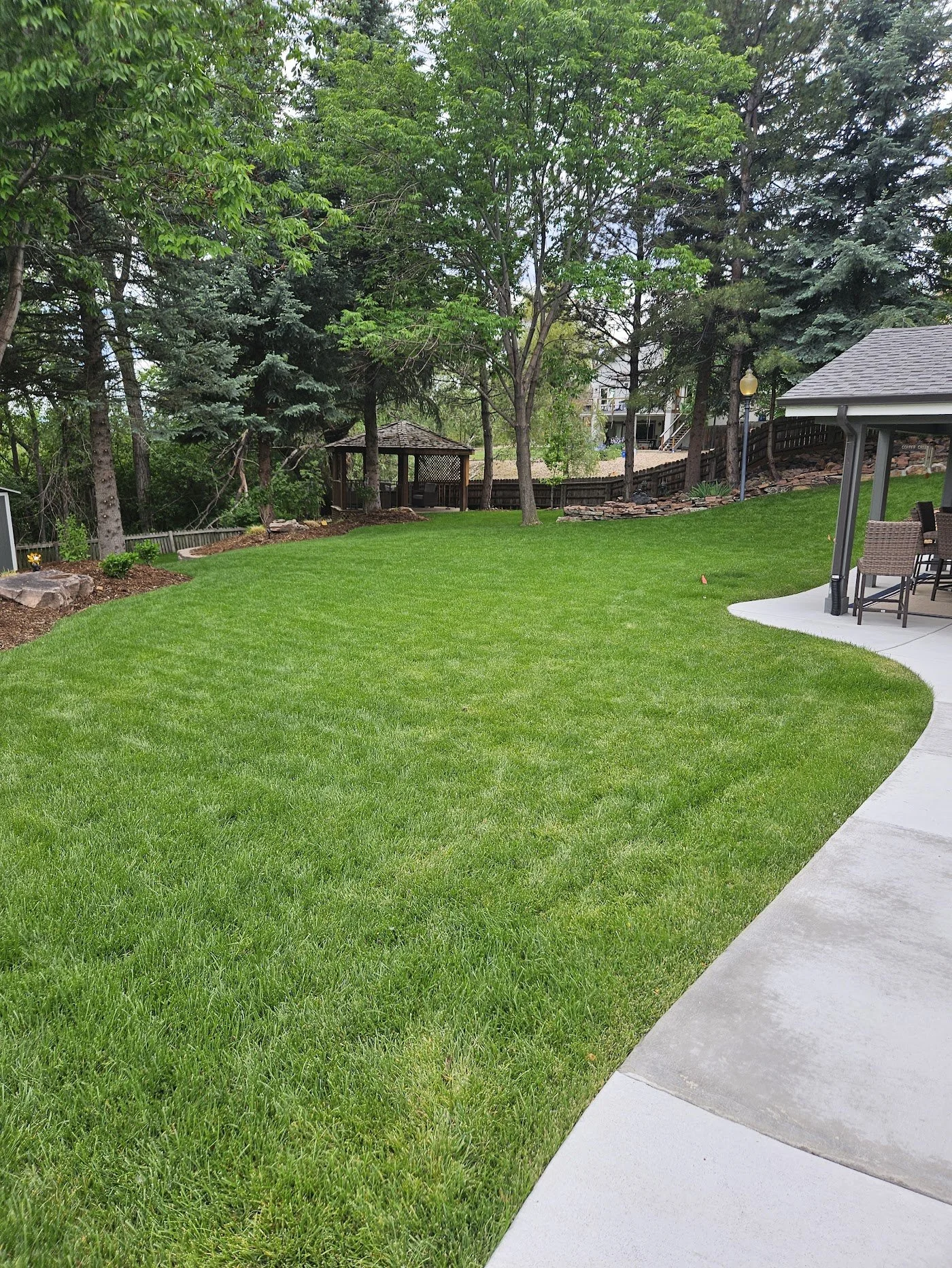 Arvada Back Yard Kentucky Blue Grass sod with concrete patio and mature trees