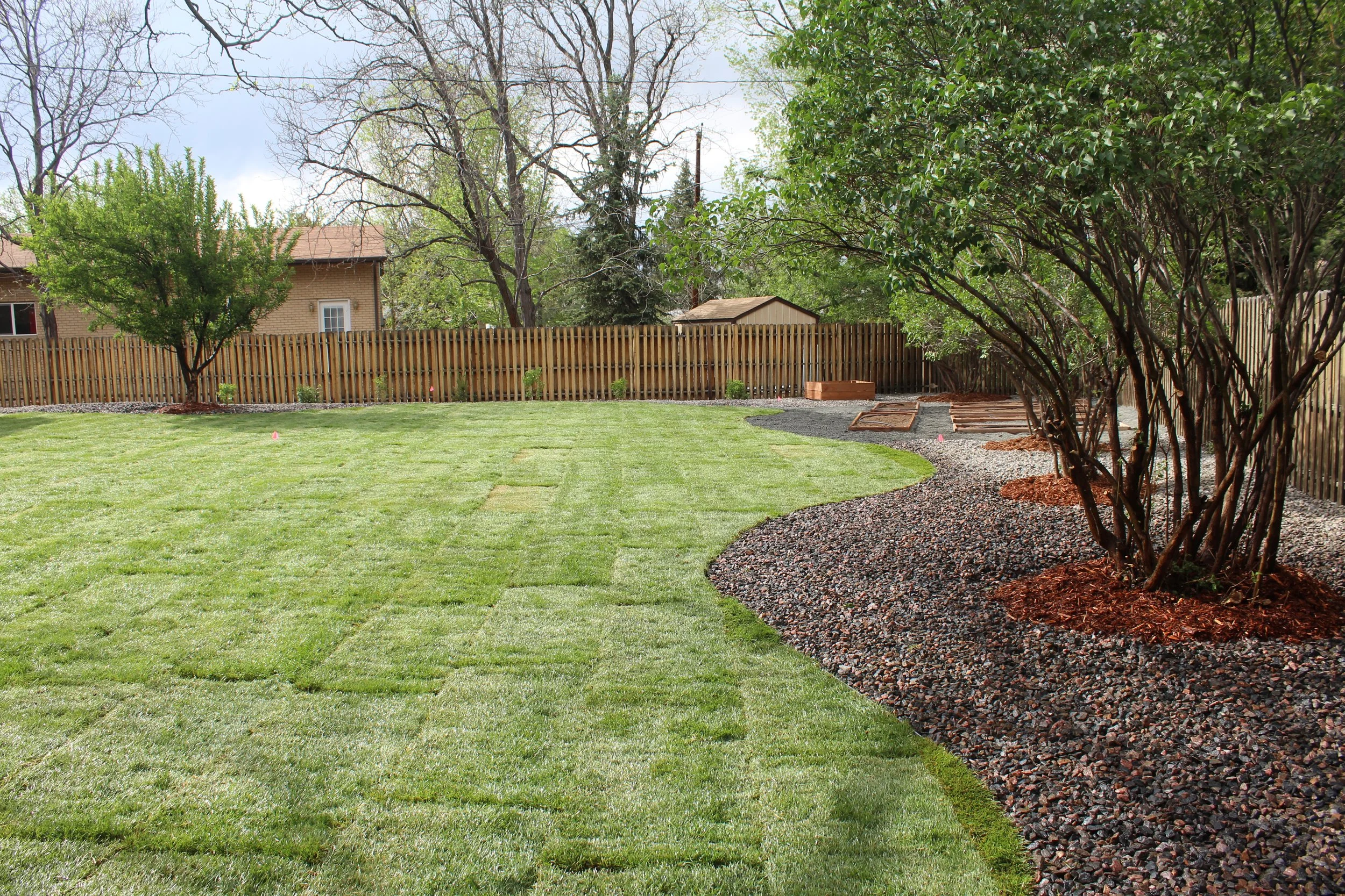 Applewood Golden back yard sod and mature lilacs
