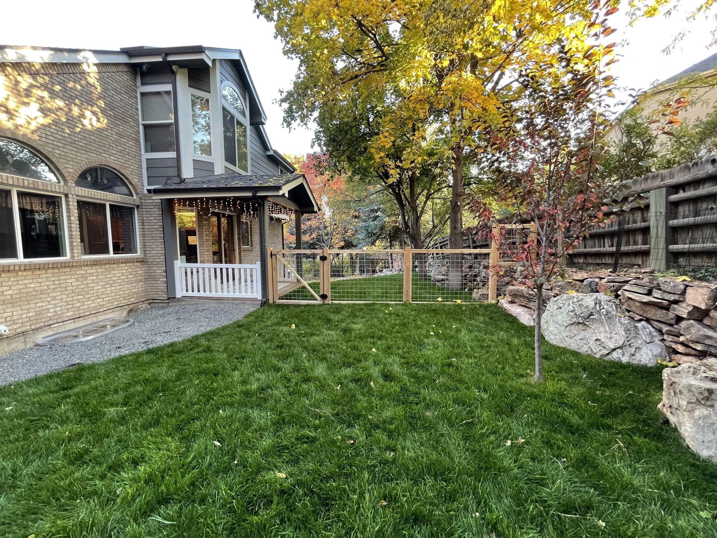 Arvada back yard sod with mature and new trees