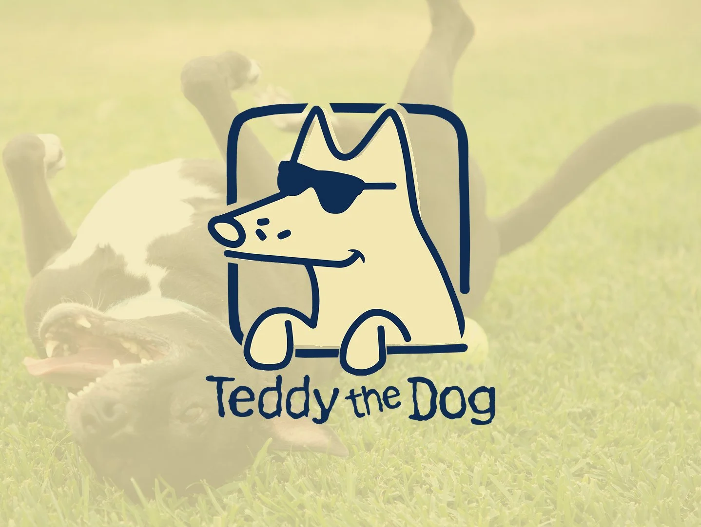 Teddy the Dog