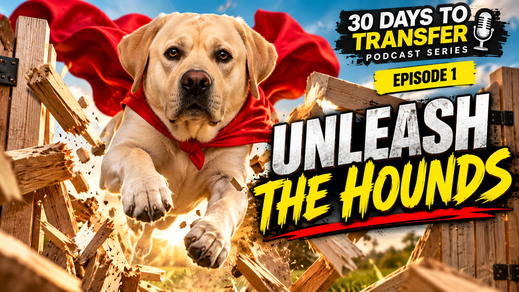 Unleash the Hounds