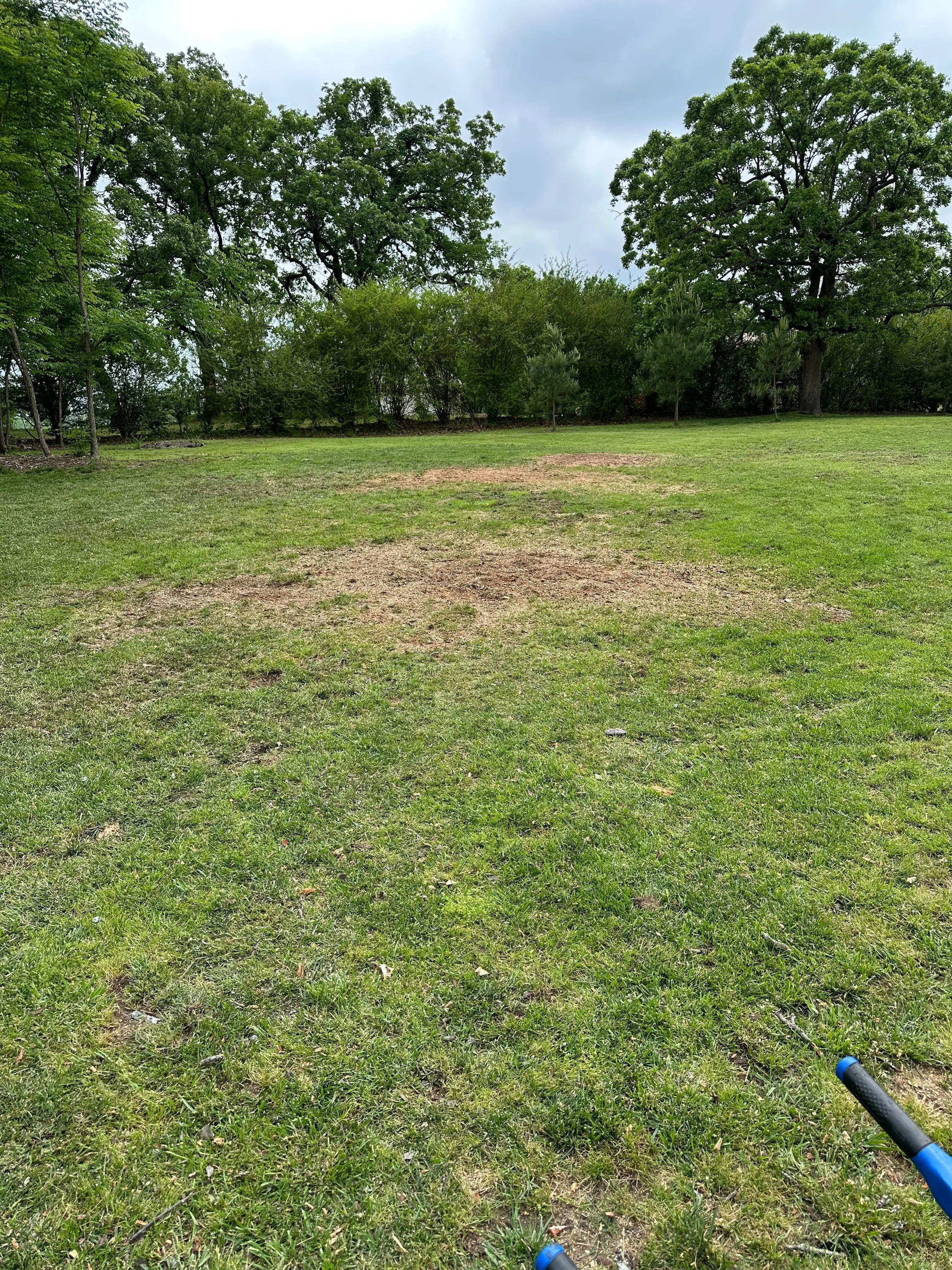 Wide view of a grassy field with patches of dirt, bordered by trees and bushes under a cloudy sky, with a partially visible blue object in the lower right corner.