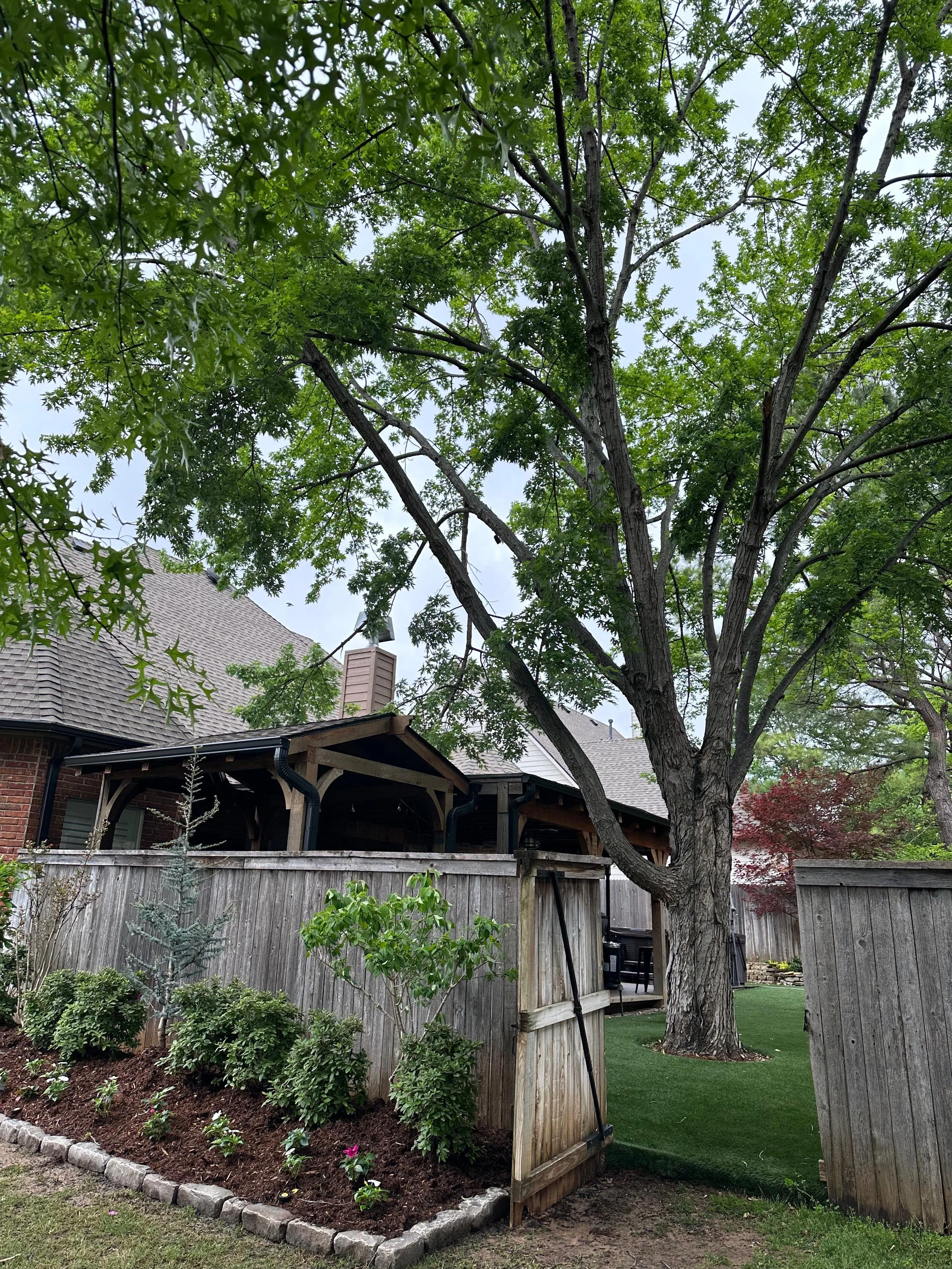 View of a backyard with a large tree, a wooden fence, a raised garden bed with plants, and a house with a tiled roof.