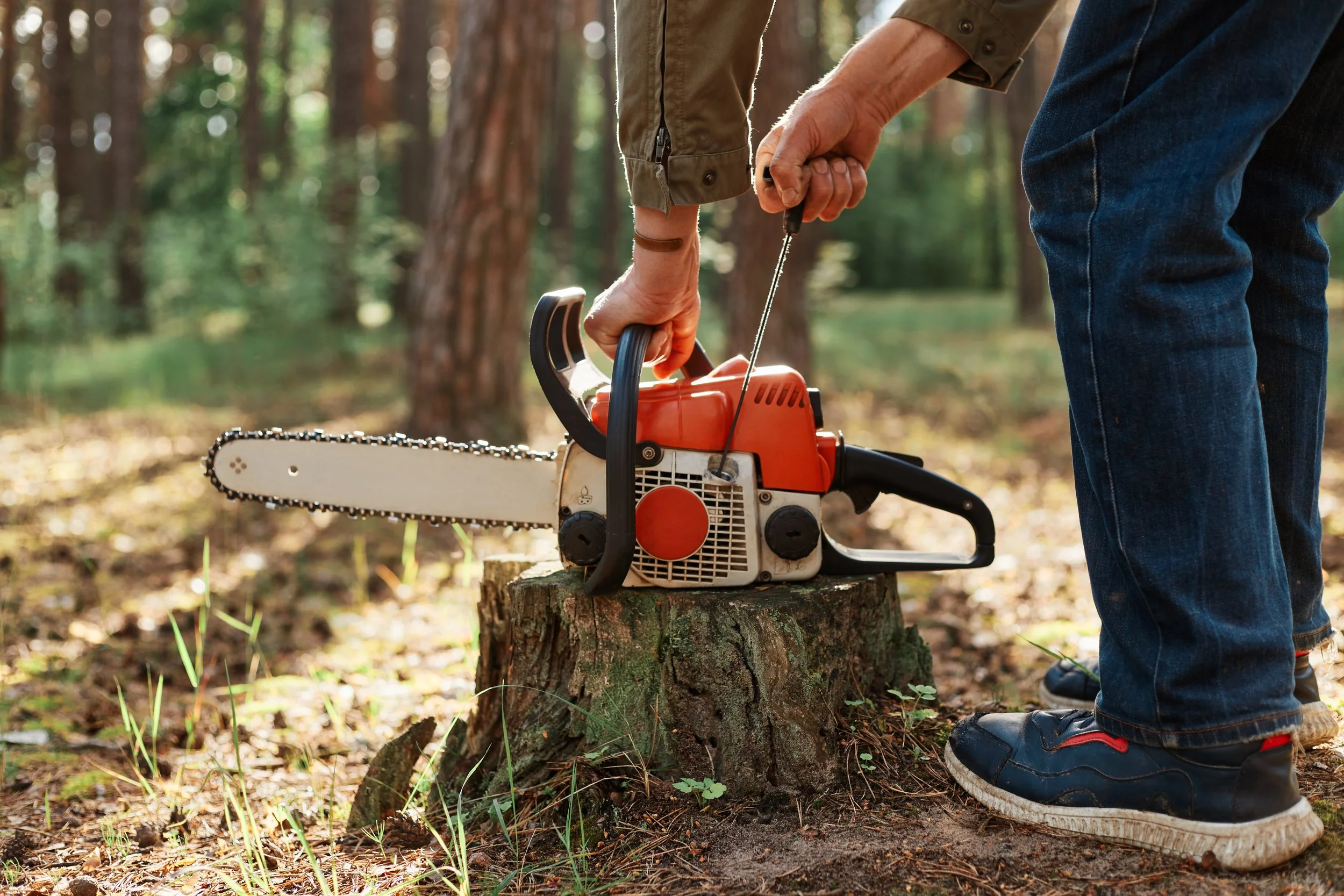 Person in jeans and jacket operating a chainsaw on a tree stump in a forest.