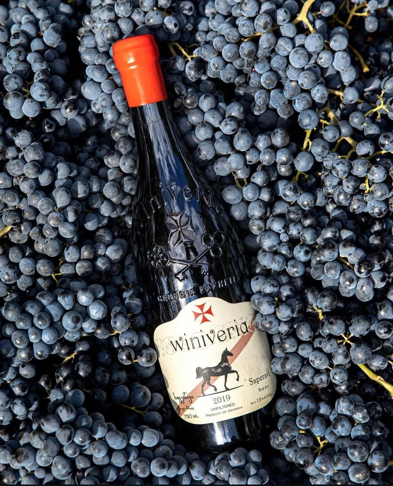 Best Georgian Wines to Try First: A Buyer's Guide