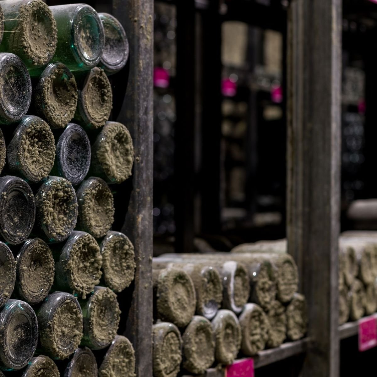 Wine bottles stored horizontally on wooden racks in a cellar, with dust and mold on the bottle caps.