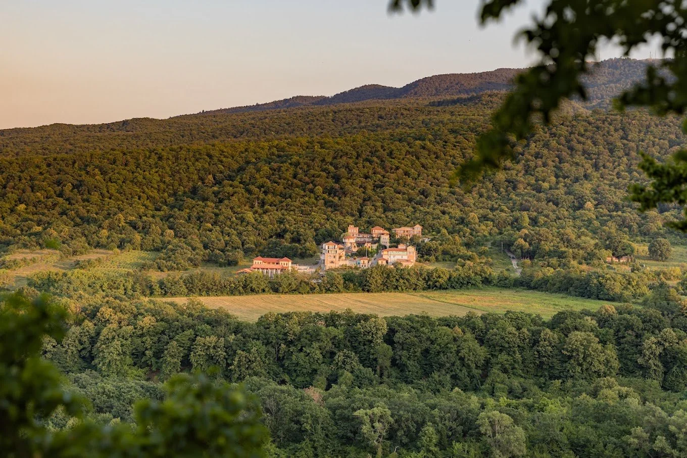 A scenic view of a village nestled in the green hills and mountains, with a foreground framed by leaves.