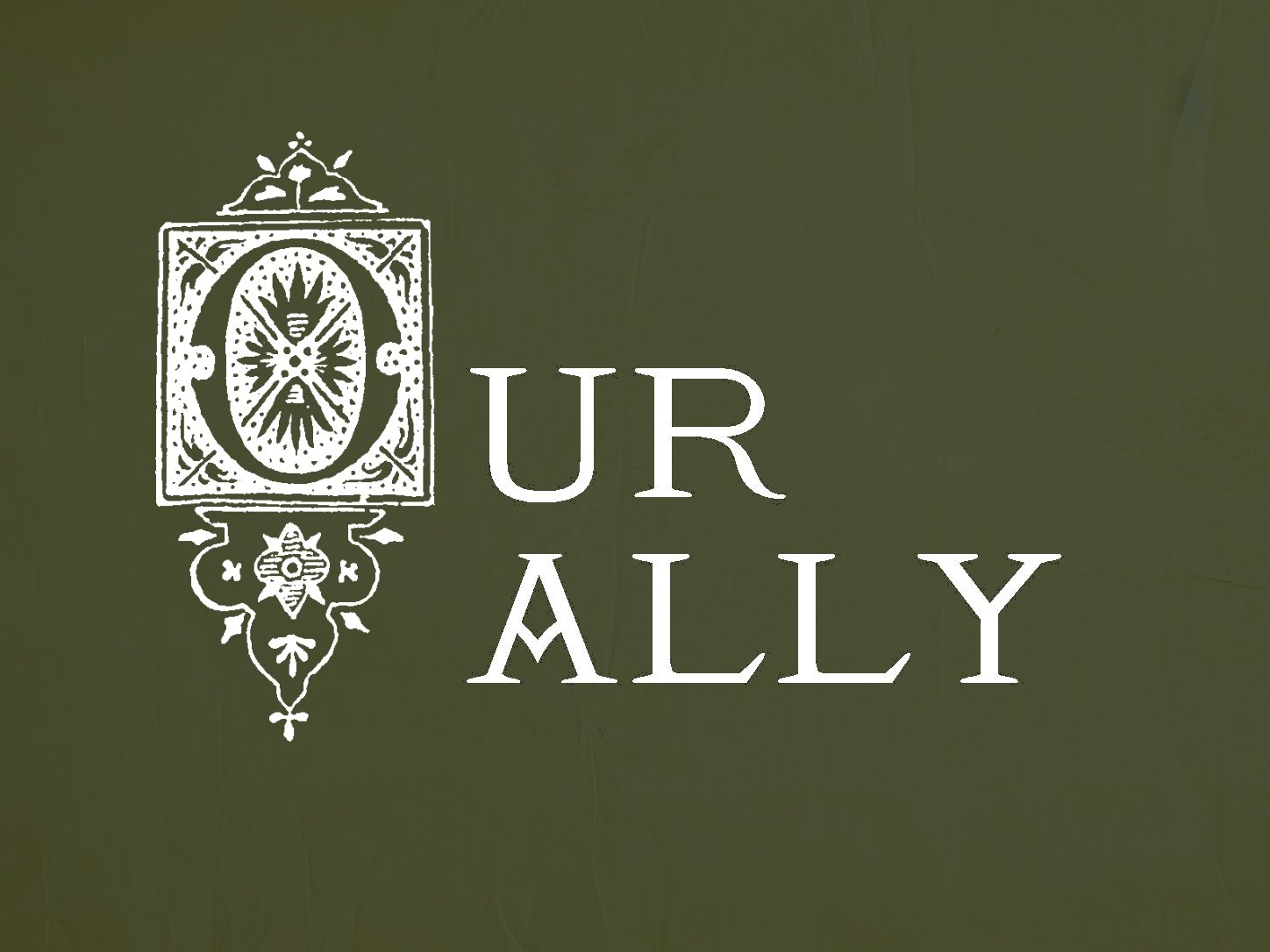 our ally fancy.jpg