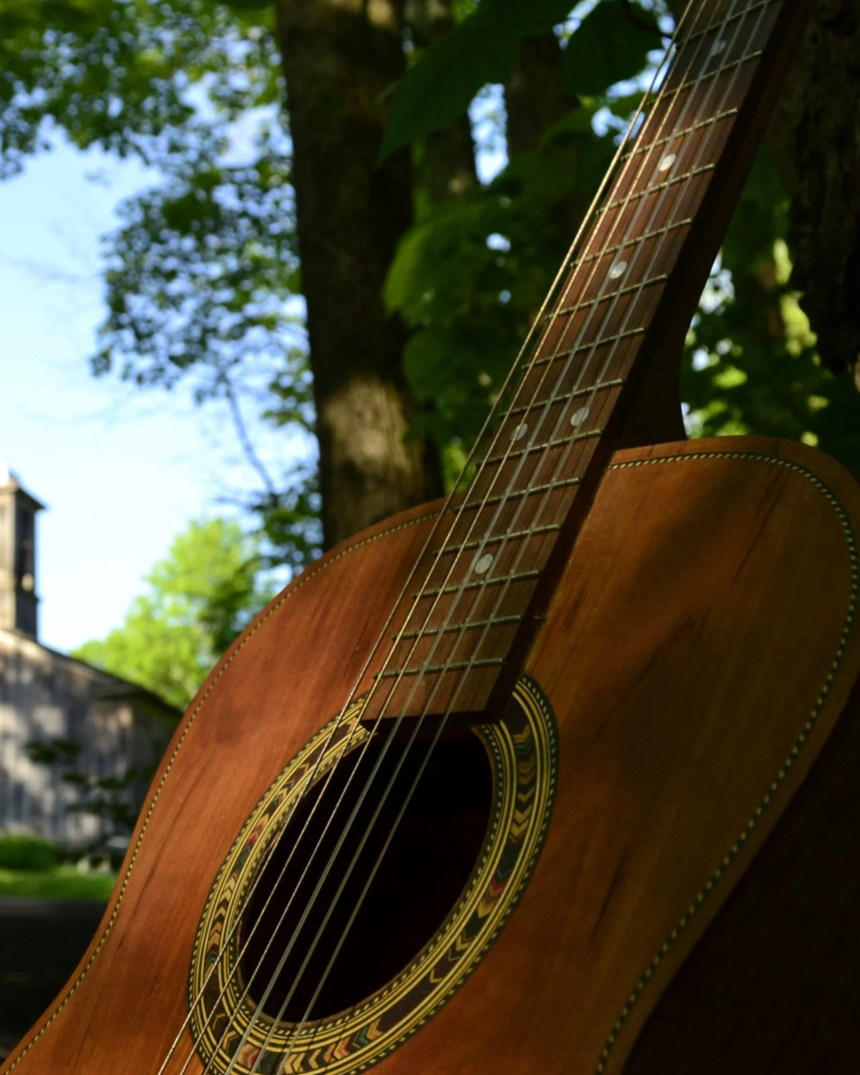 Guitar leaning against a tree in the shadows