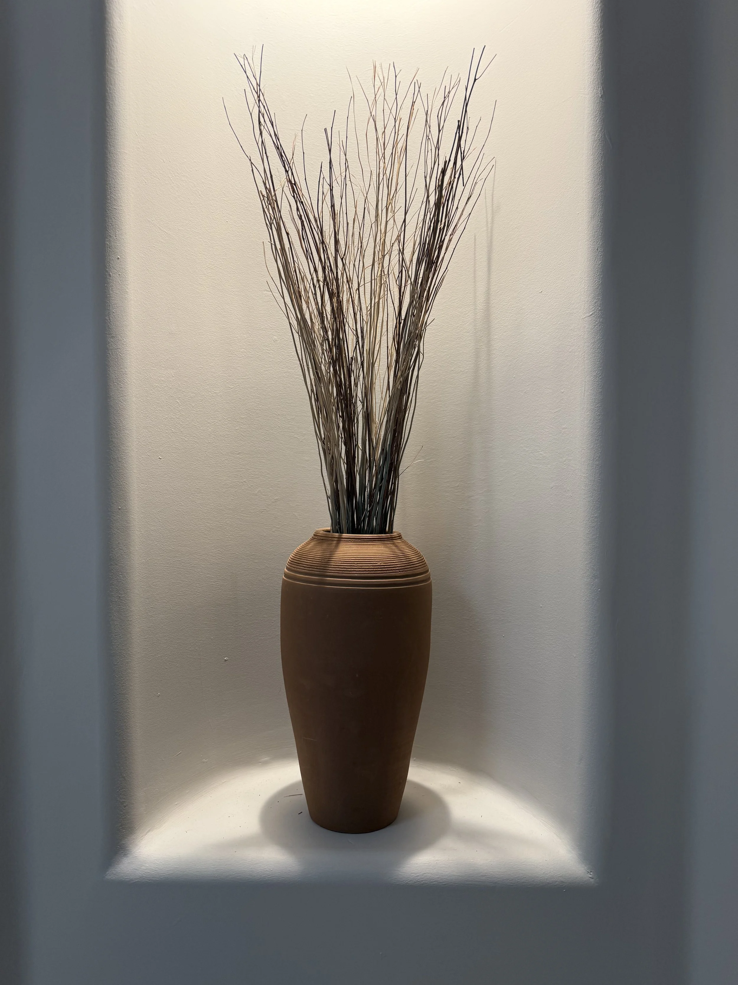IMG_6761.jpeg