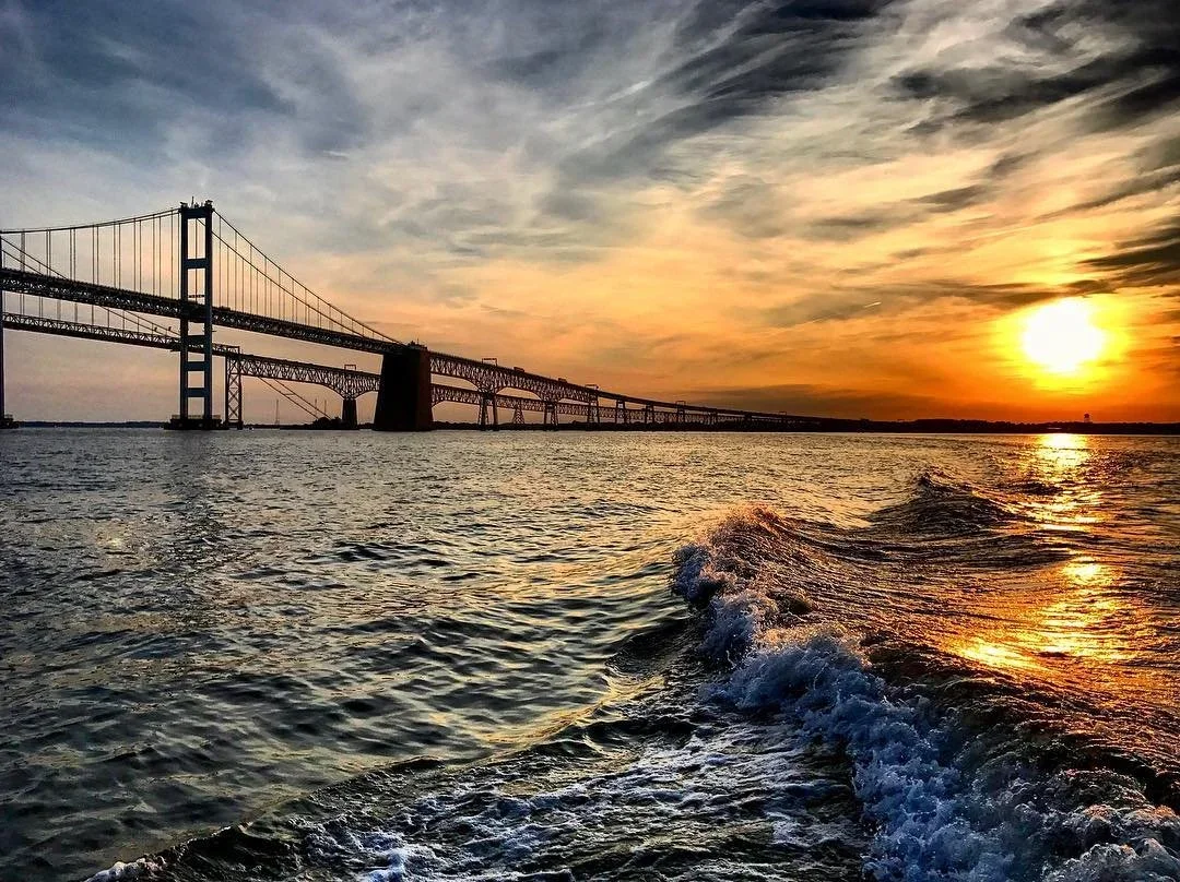 Voice of the Bay