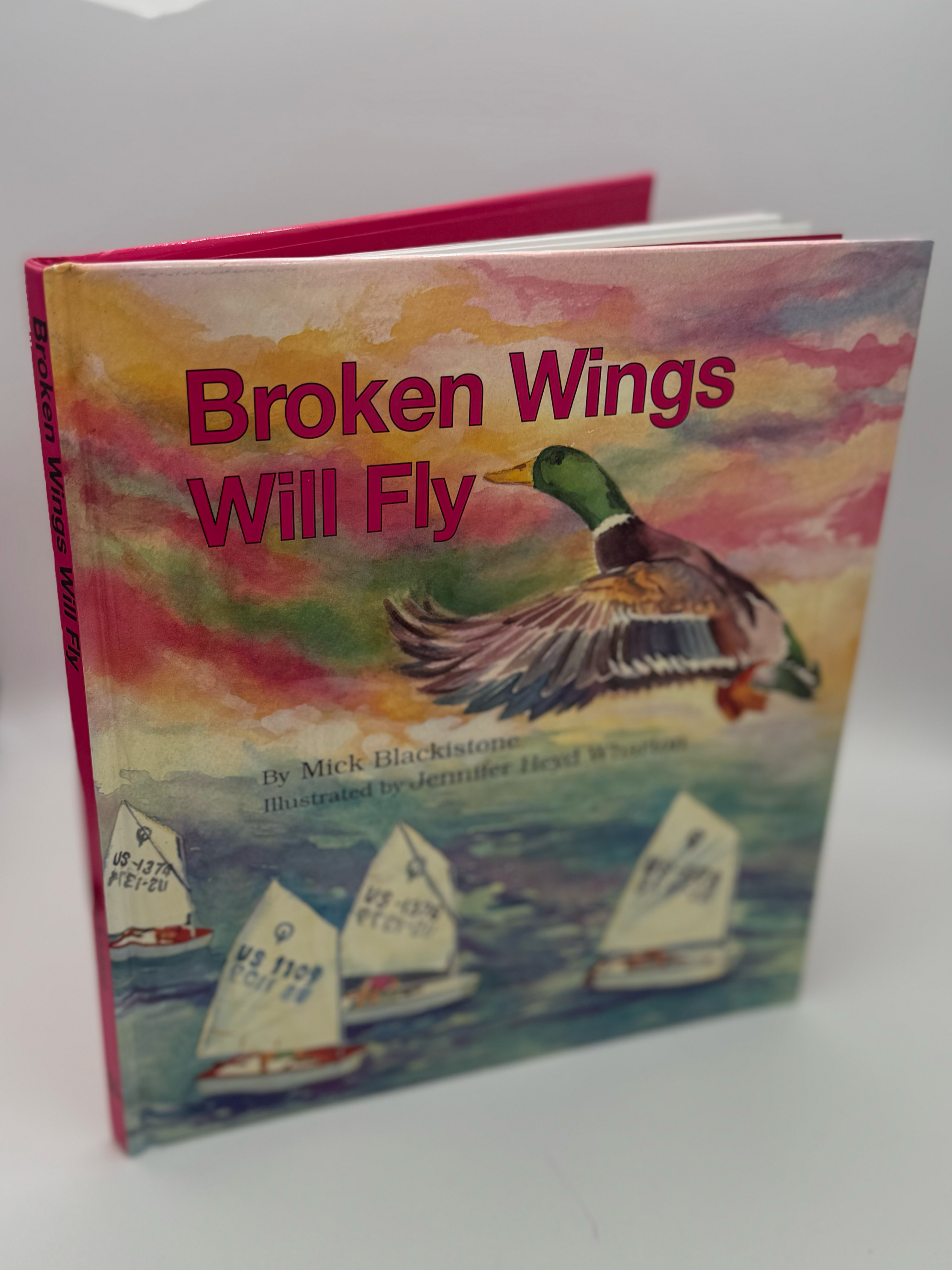 Broken+Wings+Will+Fly+Open.png