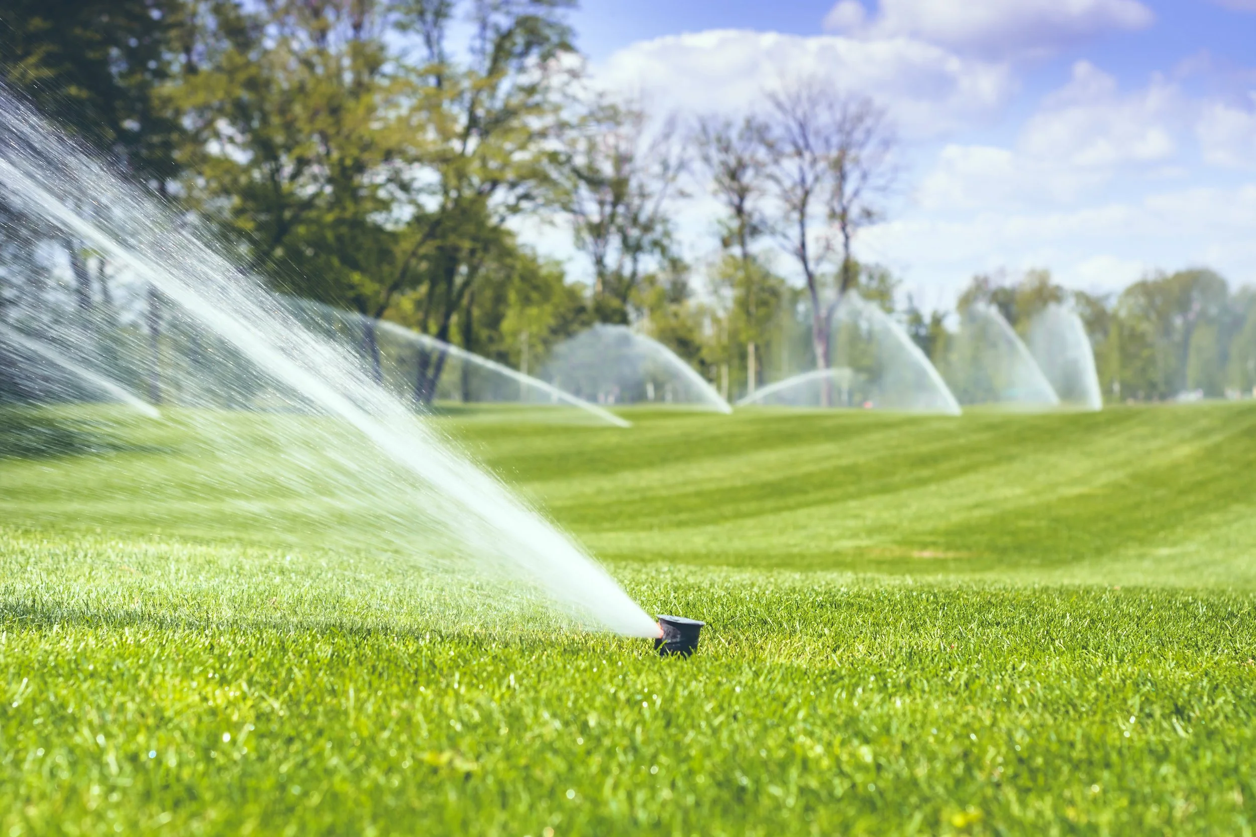 Irrigation Repair