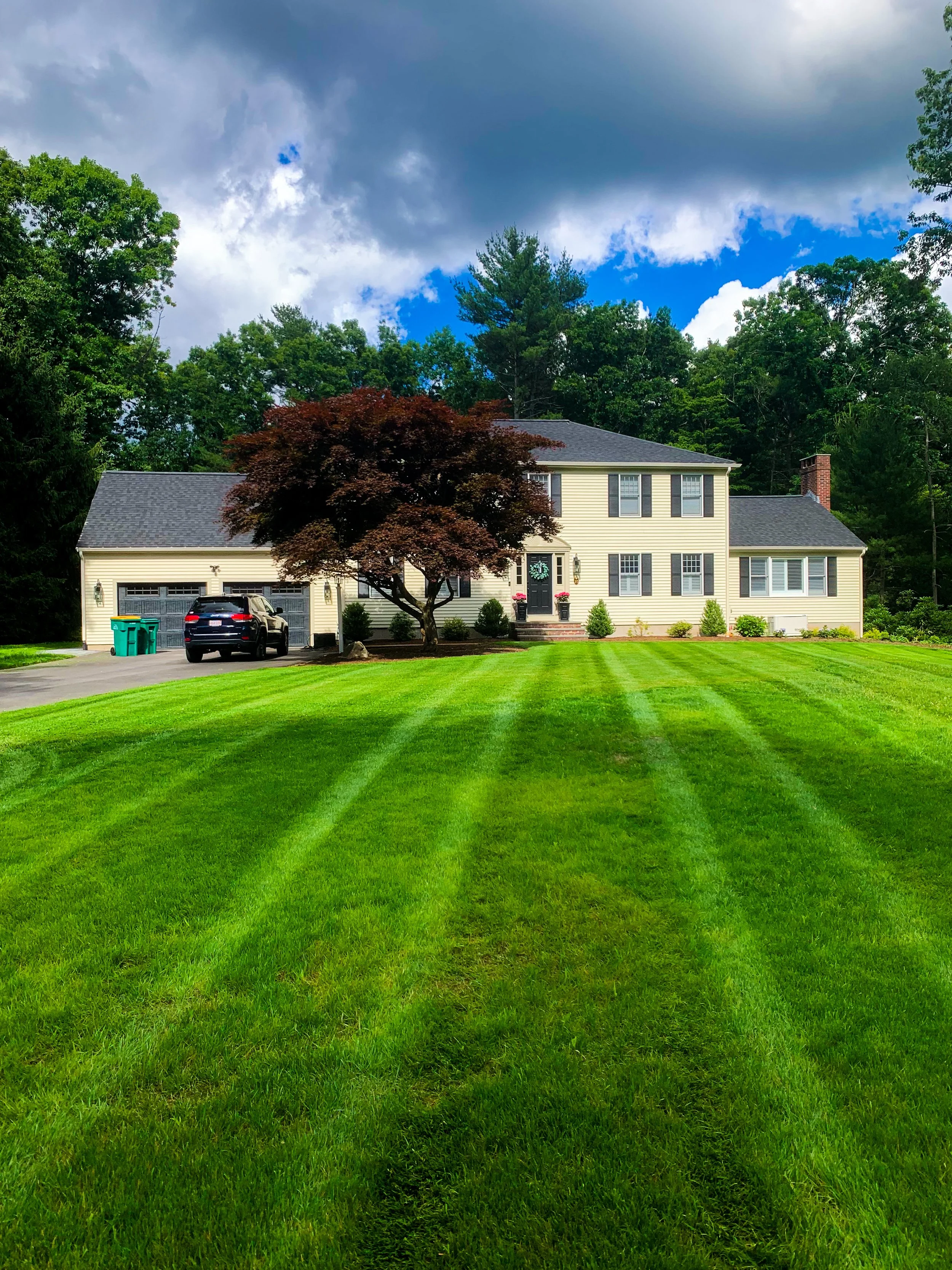 Lawn Maintenance