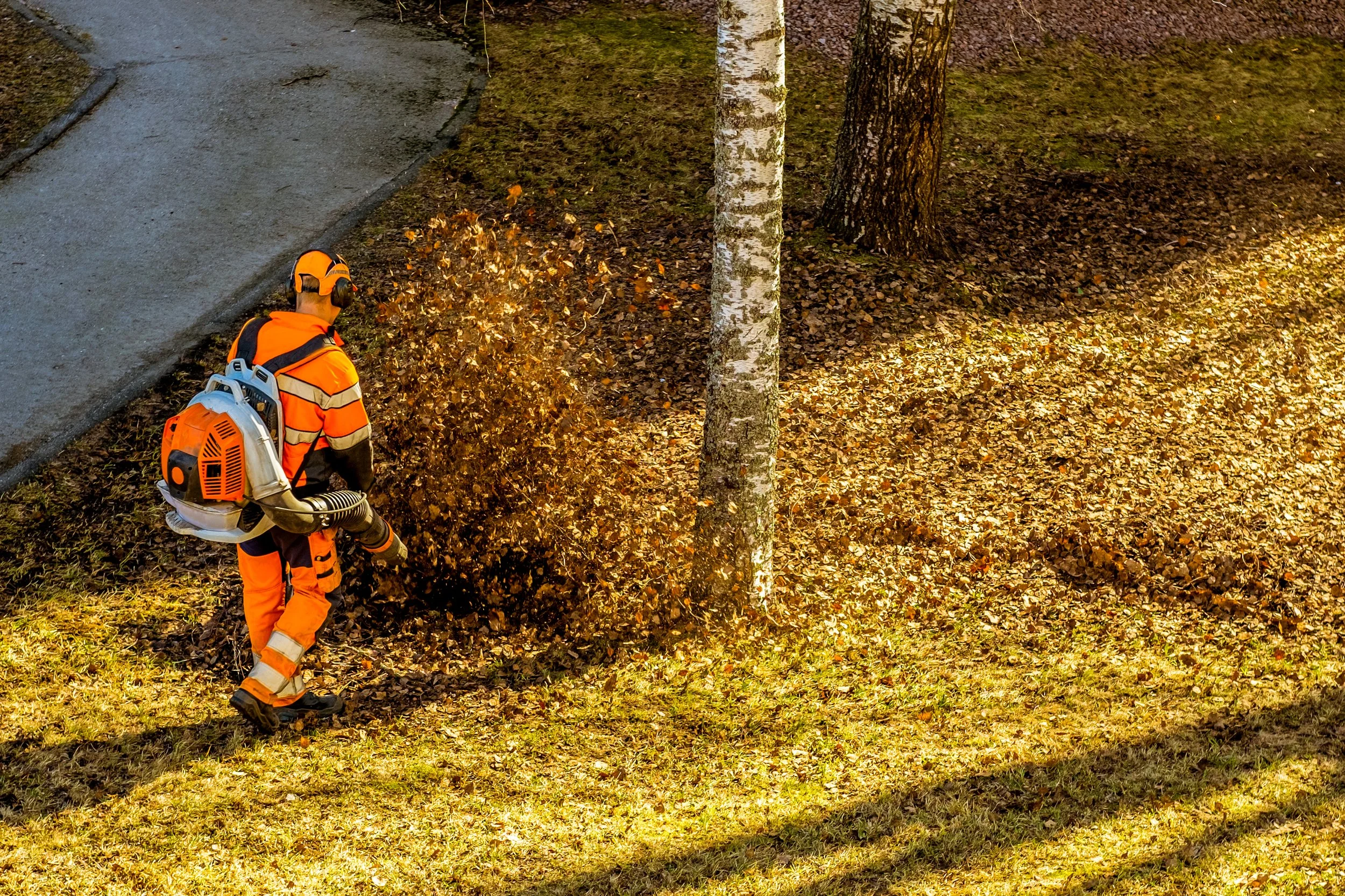 Seasonal Cleanups (Spring/Fall)