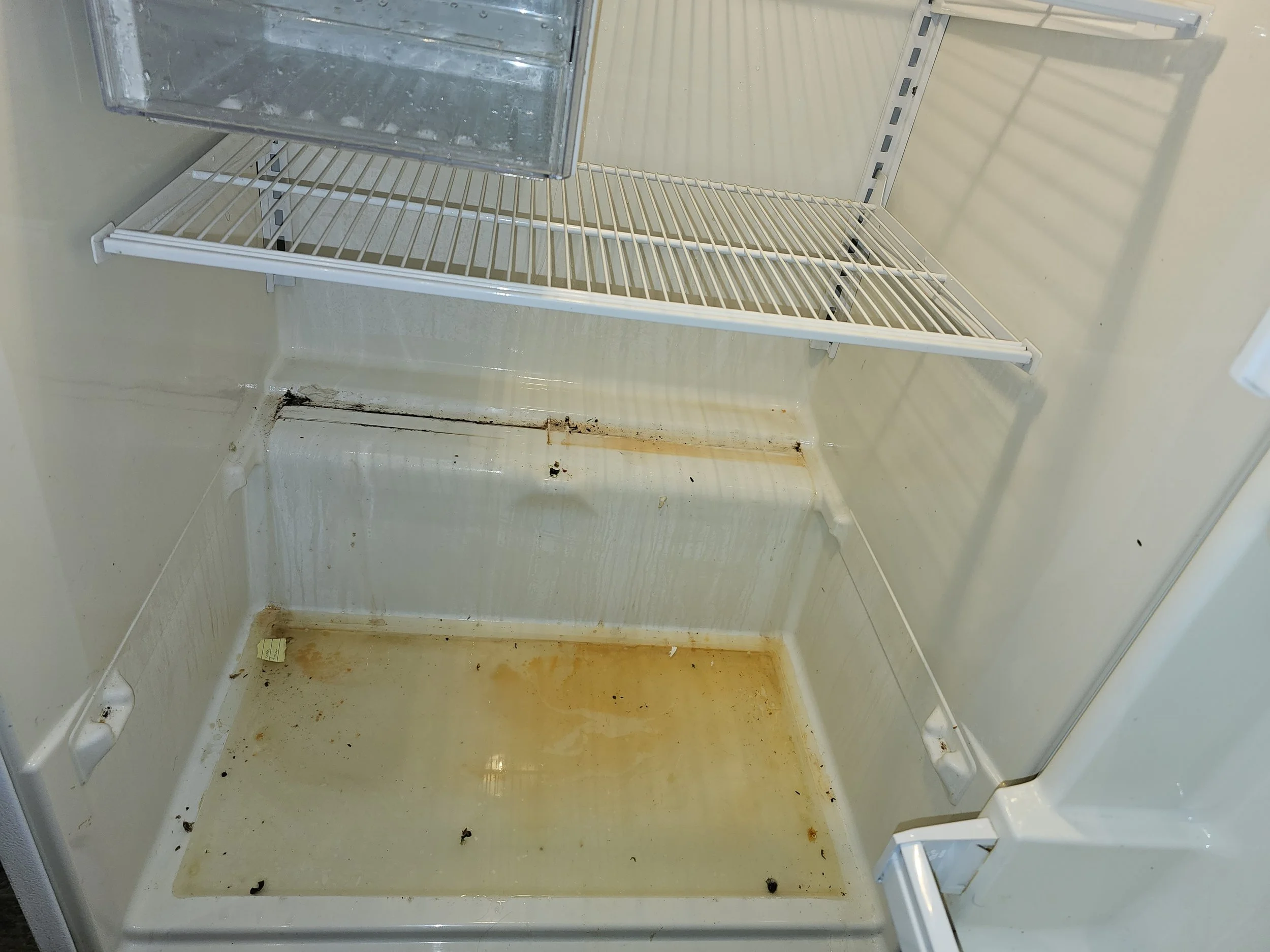 Empty refrigerator with dirty shelves and rust stains on the bottom.