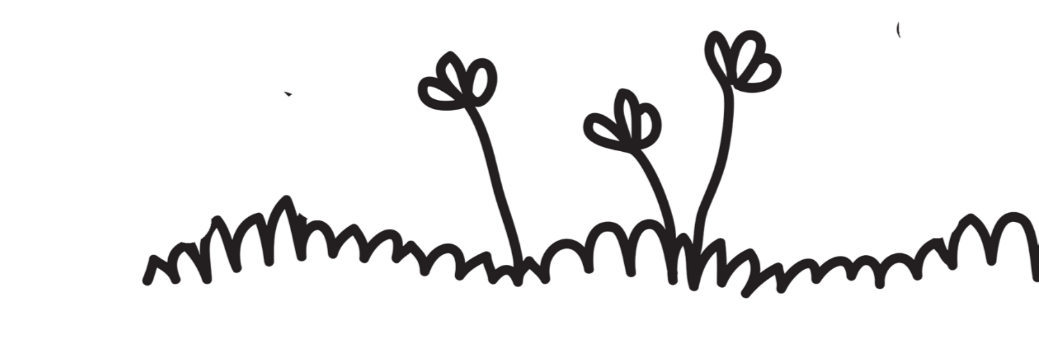Line drawing of small plants with flowers.