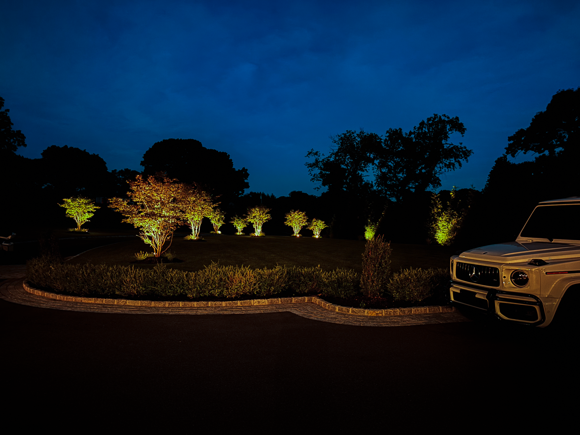 IMG_1289.png