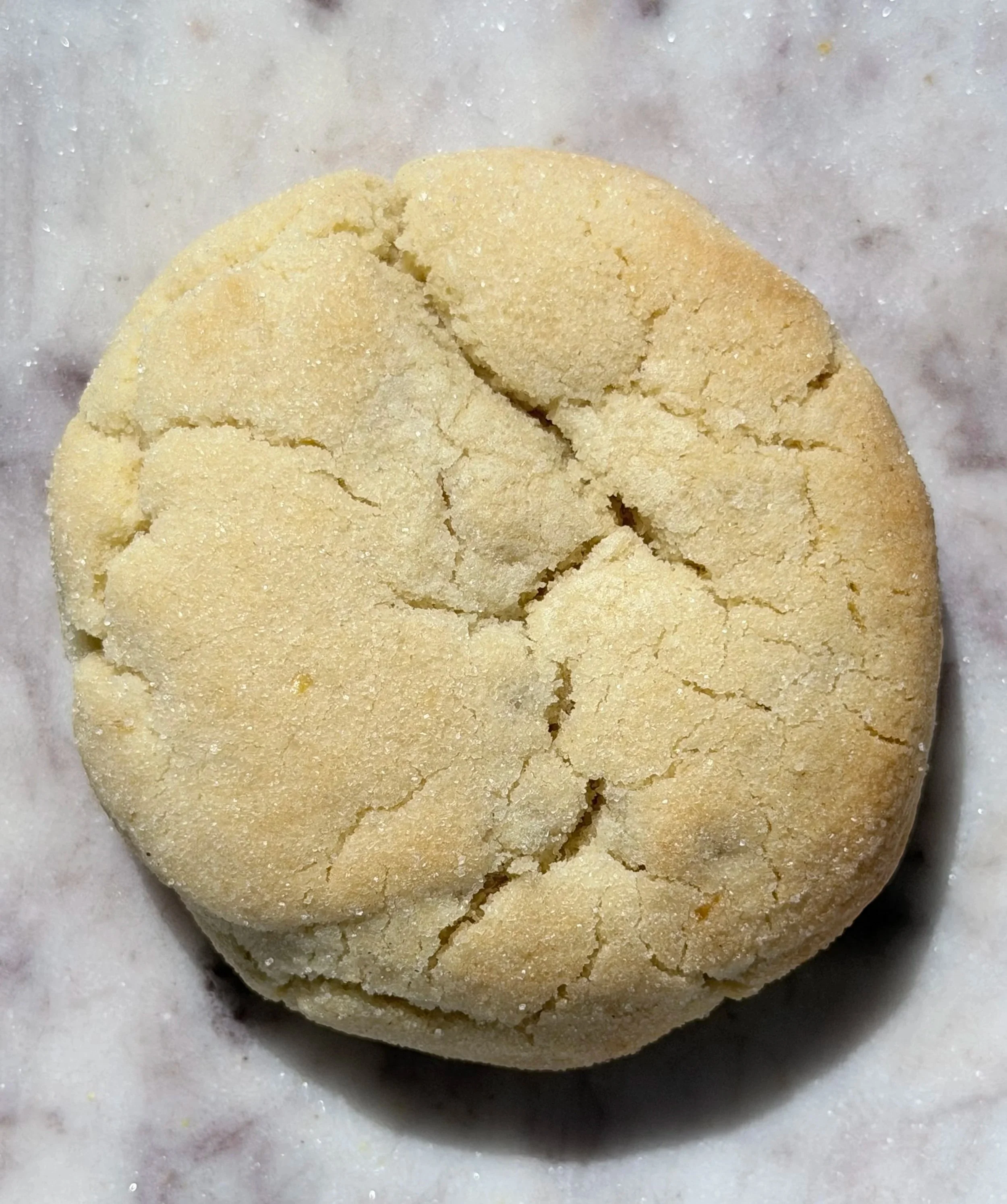 Lemon coconut sugar cookie with candied lemon peel and coconut.