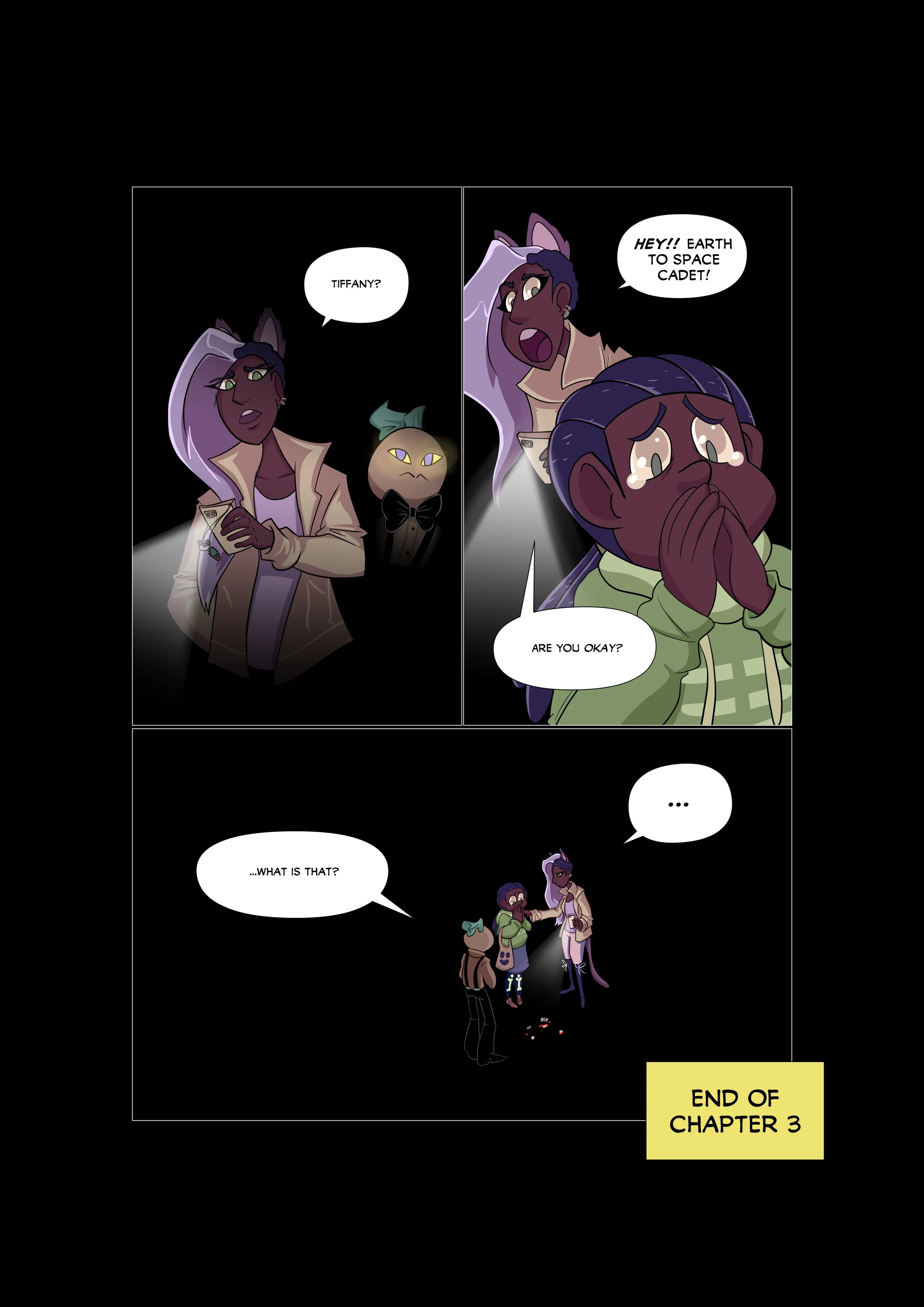 page41.jpg