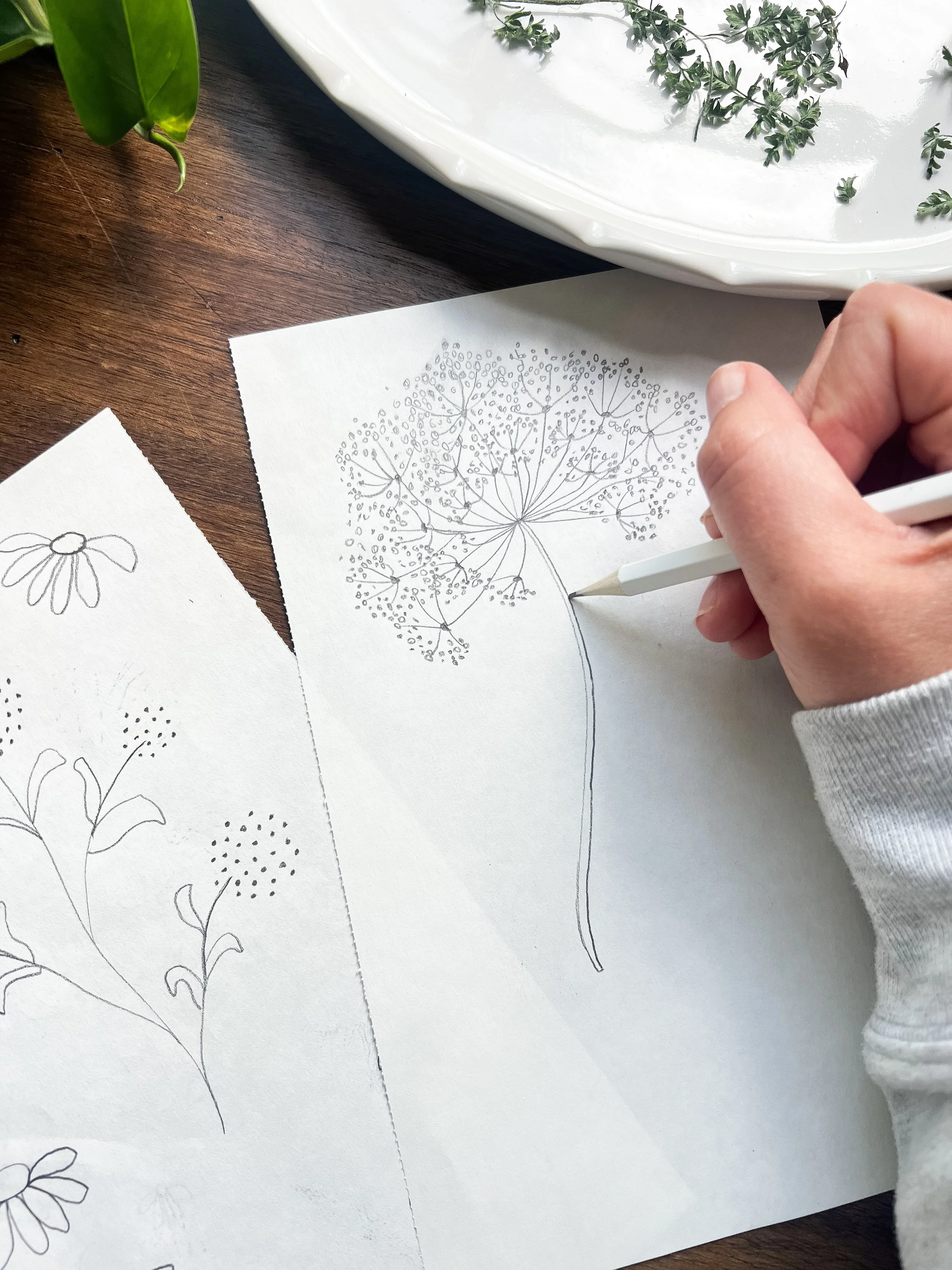 A person's hand drawing a detailed flower pattern on white paper with a white pen; nearby, other sketches of flowers are visible on the table. There is a white ceramic dish with greenery and a plant with large green leaves on the wooden surface.