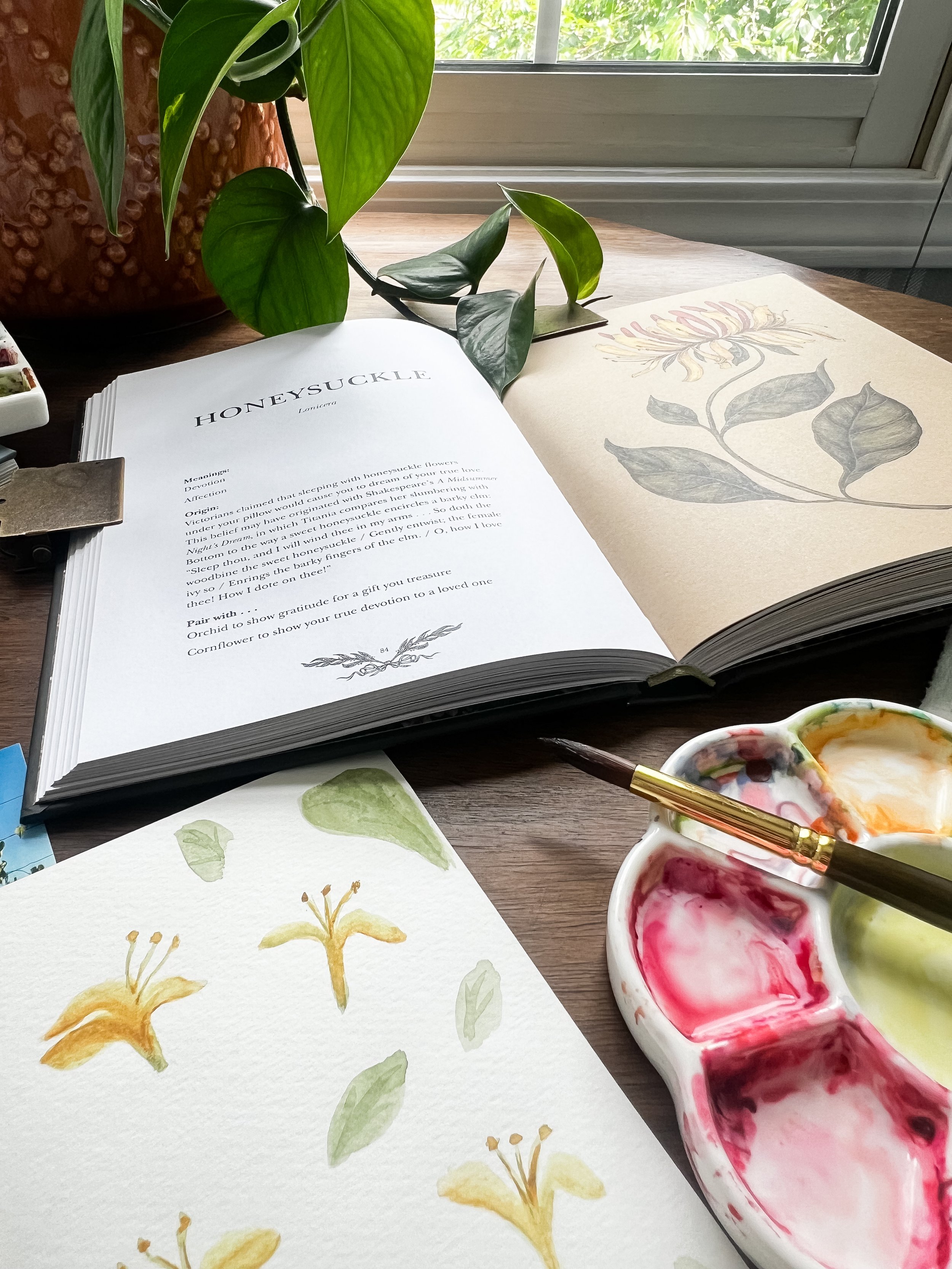 Open sketchbook with botanical drawings and watercolor paints, watercolor brushes, a potted plant, and watercolors on a wooden table near a window.
