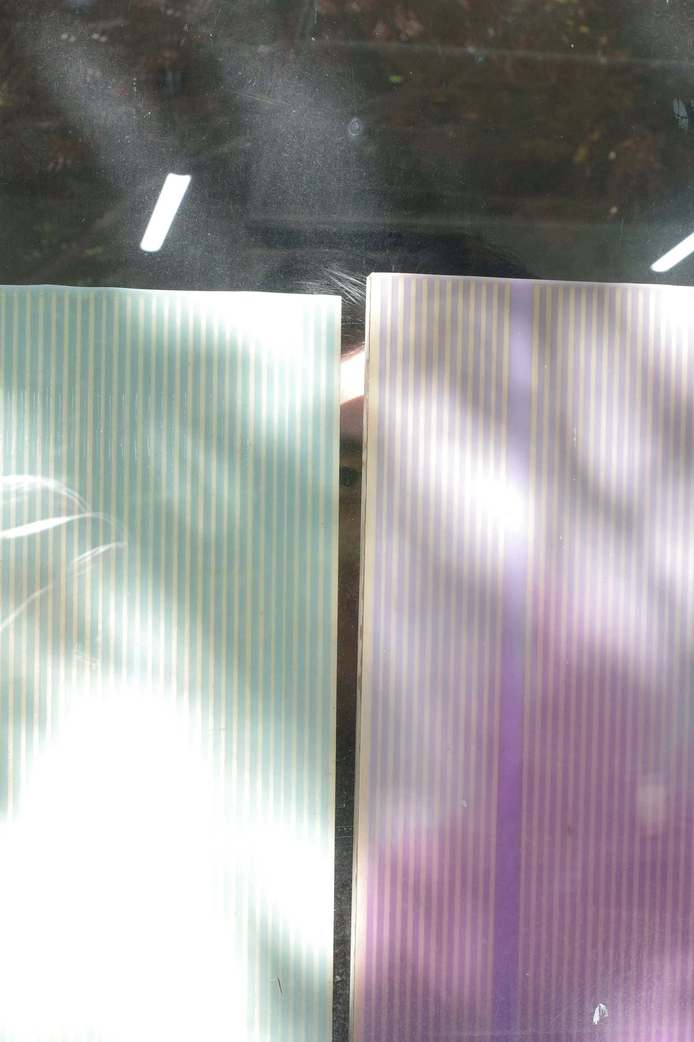 R0005126.JPG