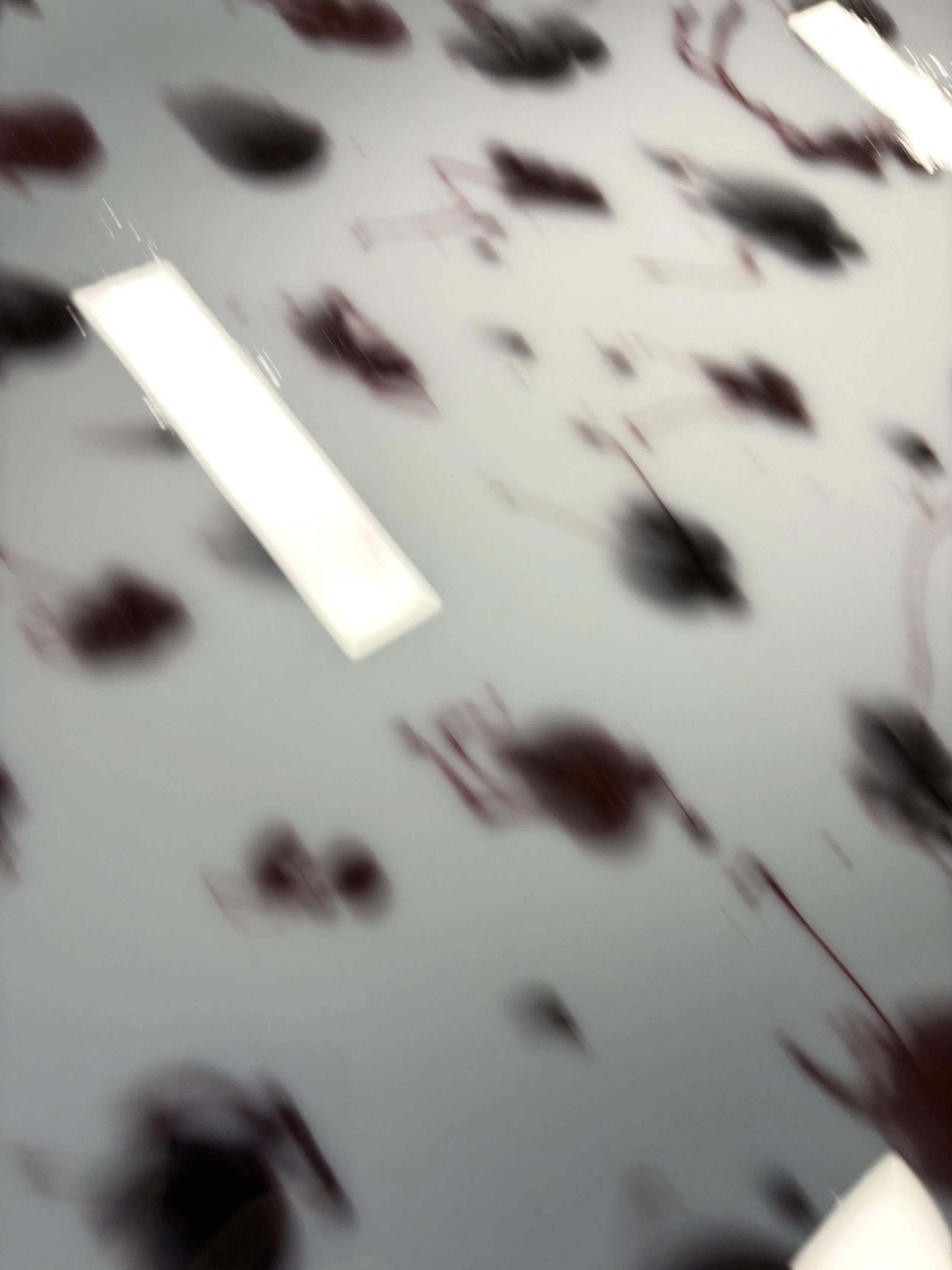 IMG_4370.jpeg
