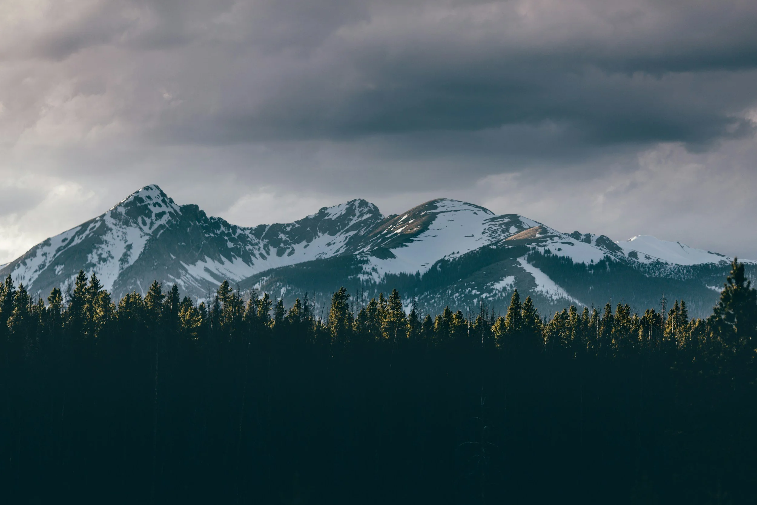 Snow-capped mountain range under dark, cloudy sky with a dense forest of trees in the foreground.