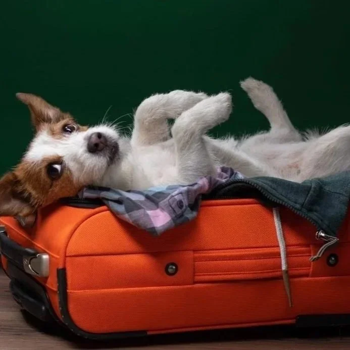 Boarding.jpg