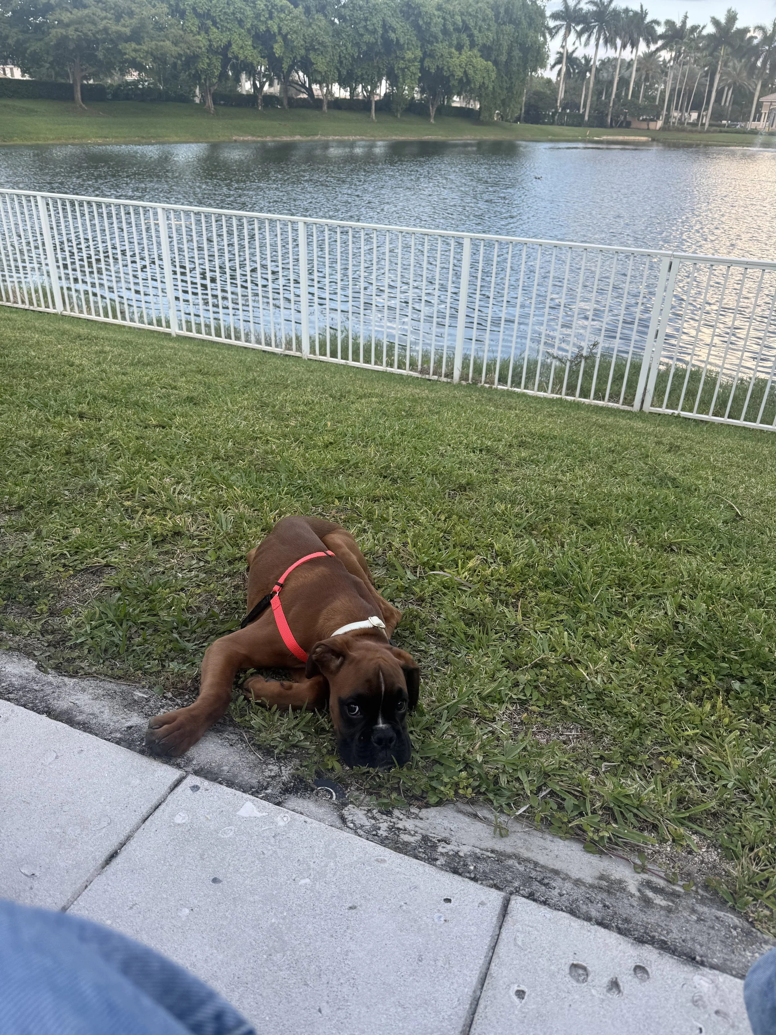 IMG_6559.jpeg