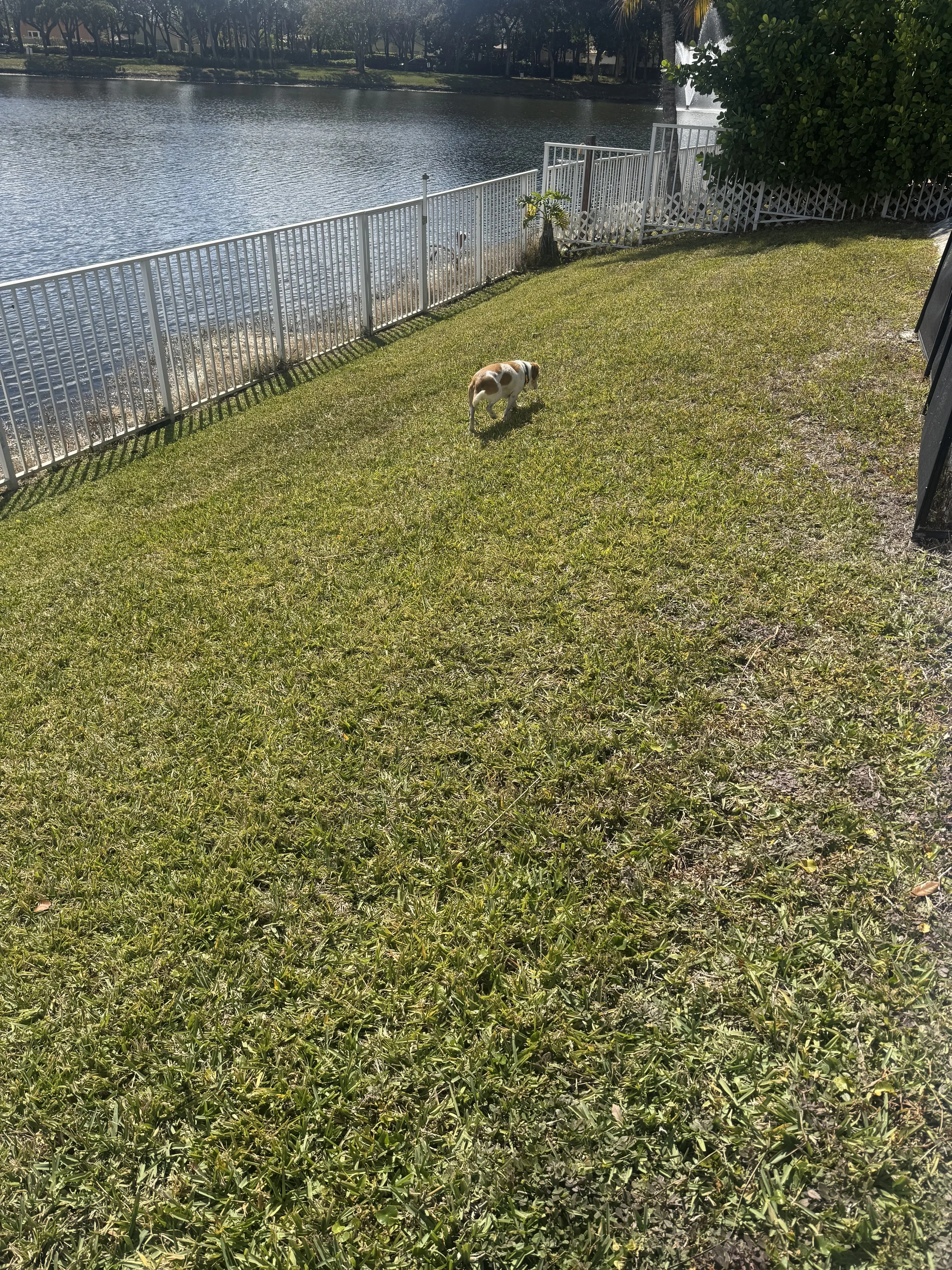 IMG_6010.jpeg