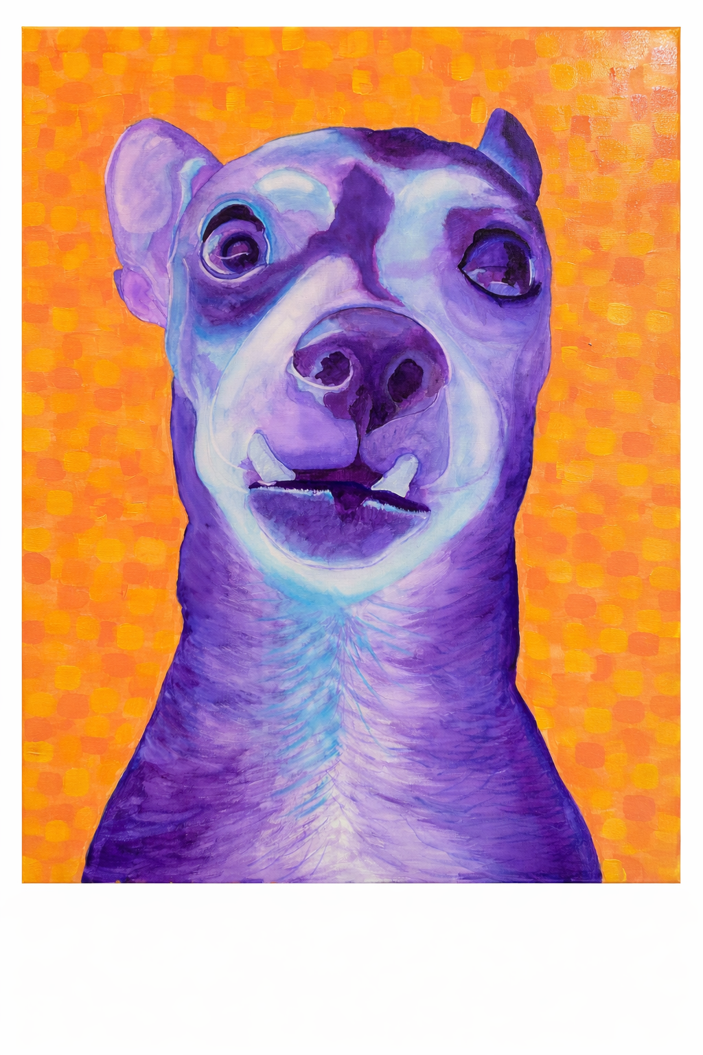 Iggy