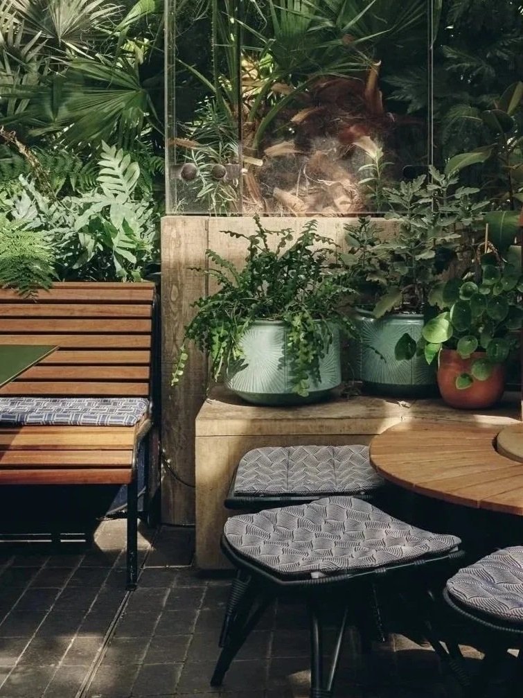 Indoor space with potted plants, wooden furniture, and a glass wall, suggesting a cozy, natural ambiance.