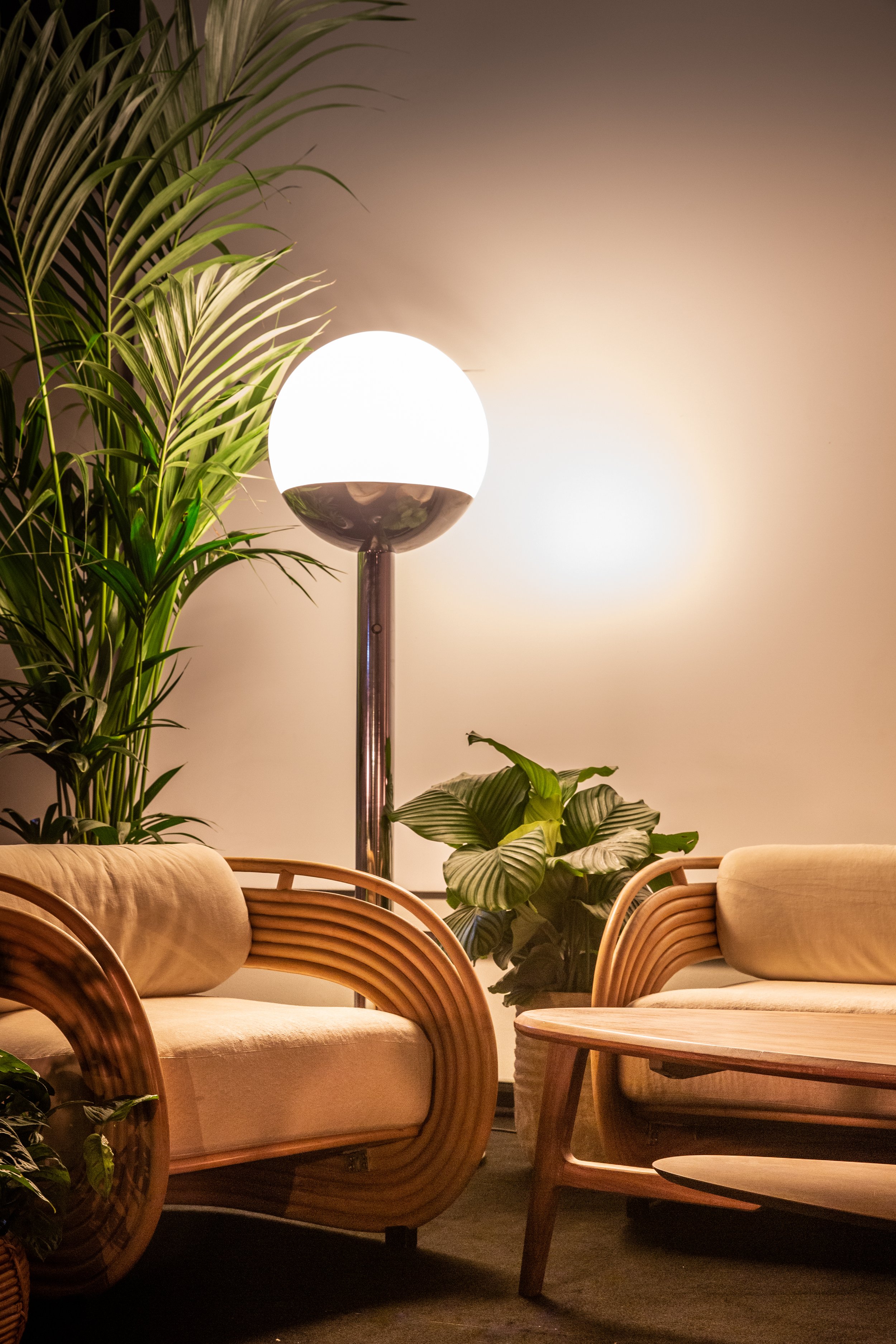 Interior of a room with a modern floor lamp, rattan curved furniture with beige cushions, and several green plants. The mood is warm and cozy.