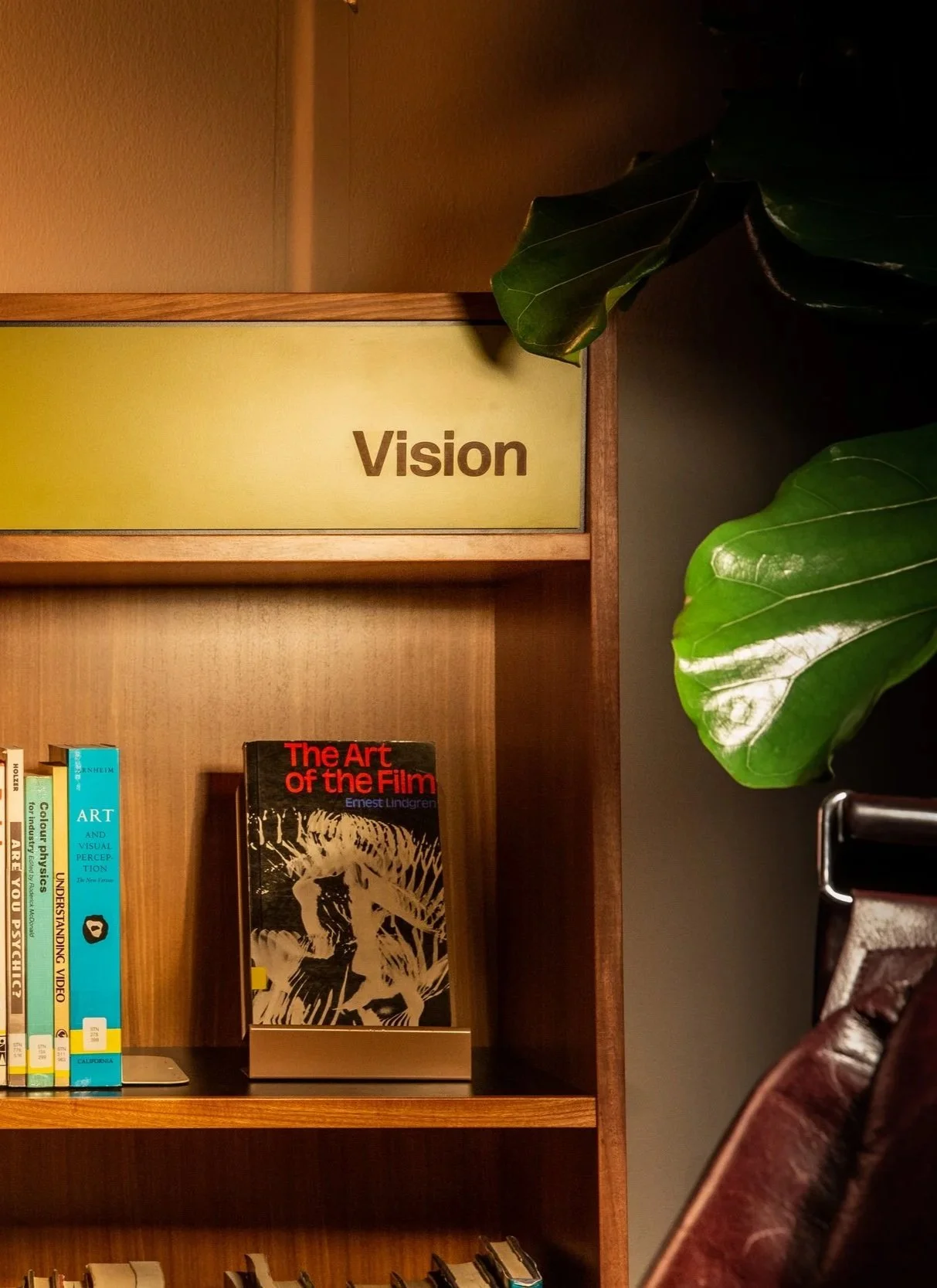 A wooden bookshelf with a yellow sign labeled 'Vision'. The bookshelf contains a few books, including one titled 'The Art of the Film'. There are large green leaves from a plant adjacent to the shelf, and part of a brown leather chair is visible in the lower right corner.