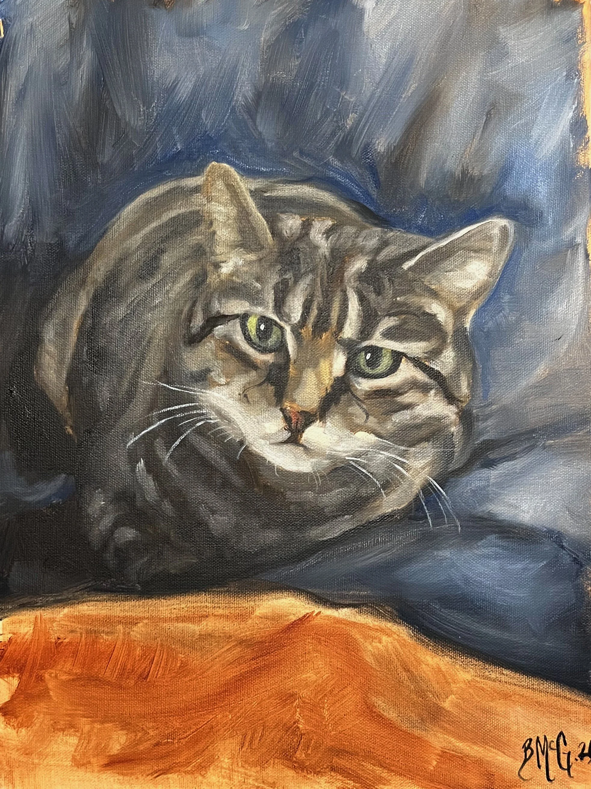B Cat.jpg