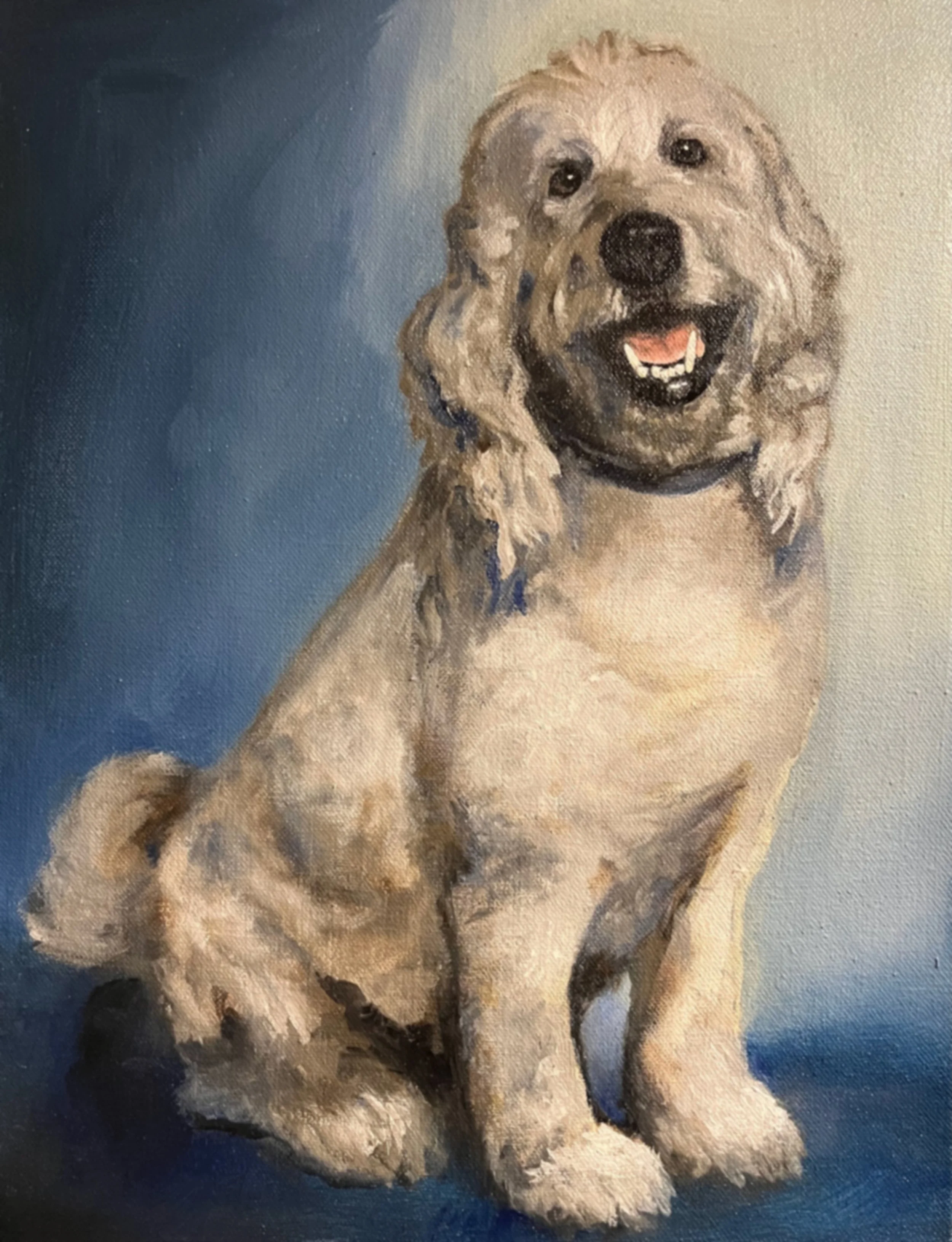 white dog.jpg