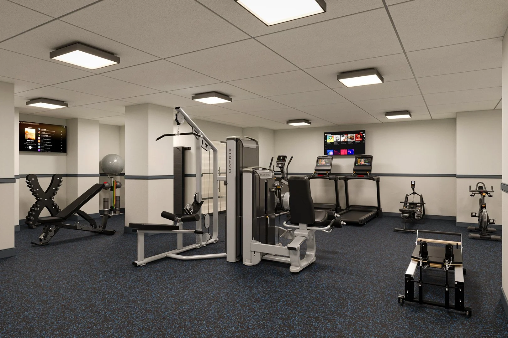 The Ivy Gym.jpg