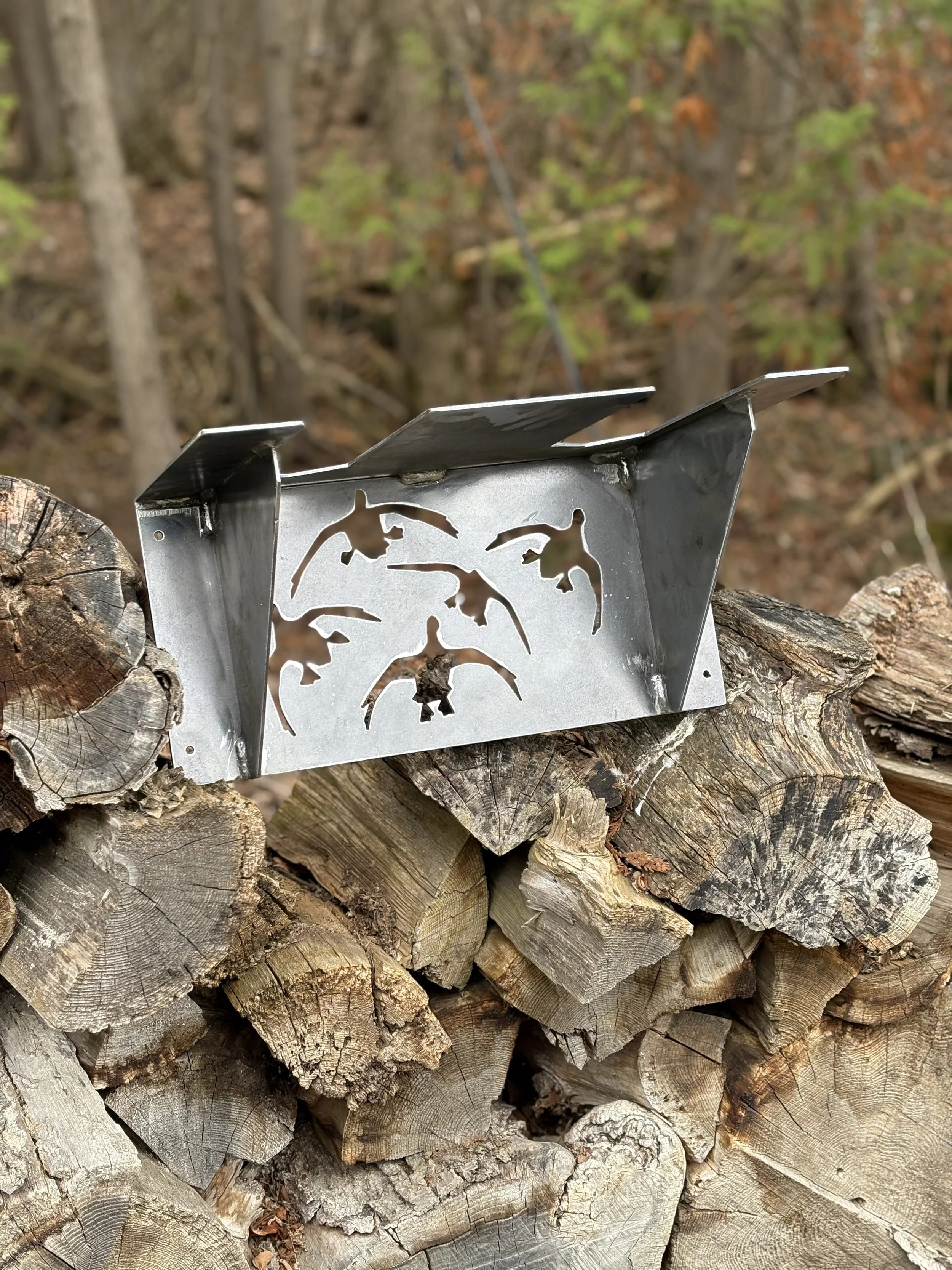 A metal wood-burning stove sitting on stacked cut firewood logs outdoors in a forested area.