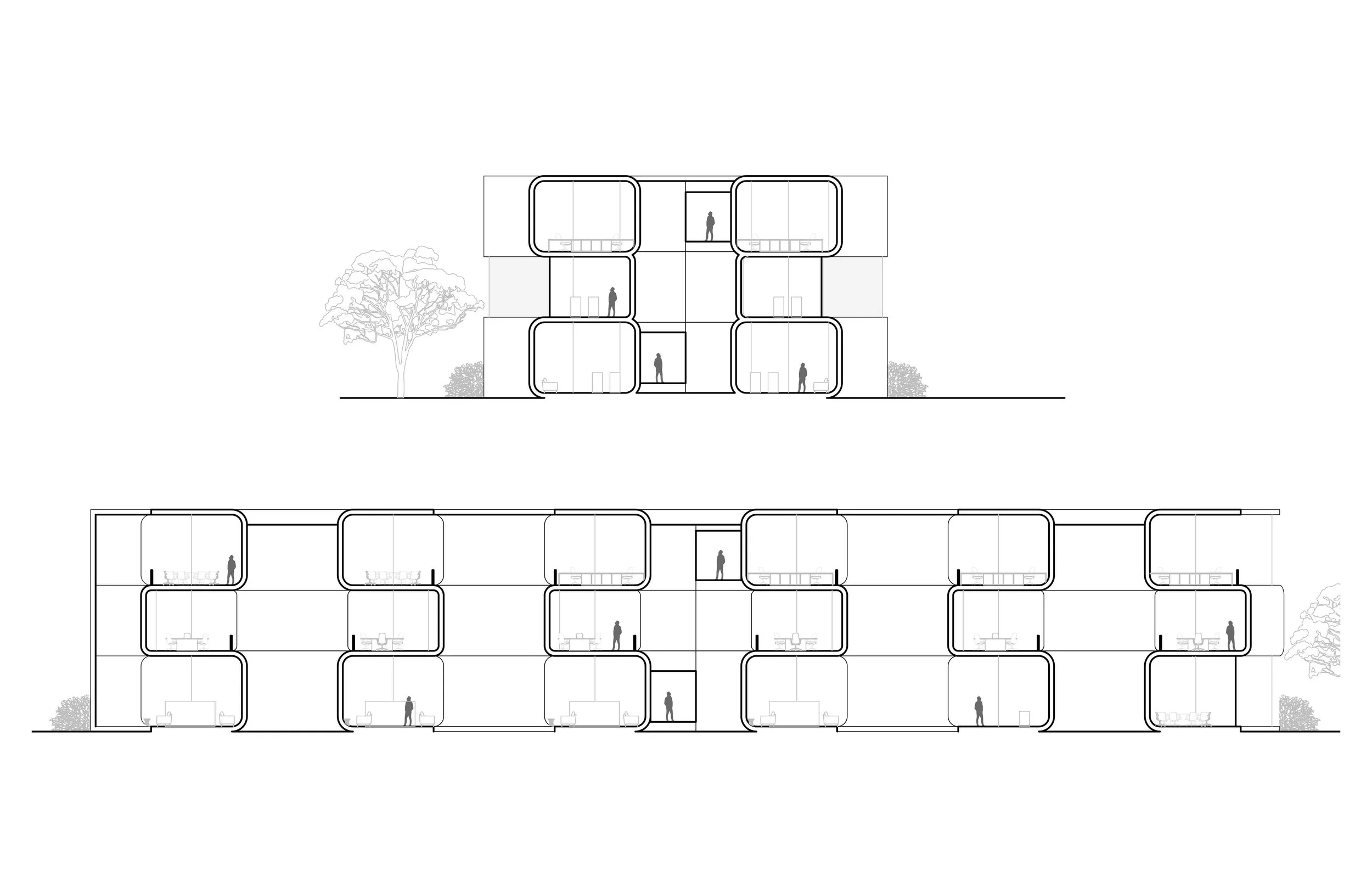 Sections