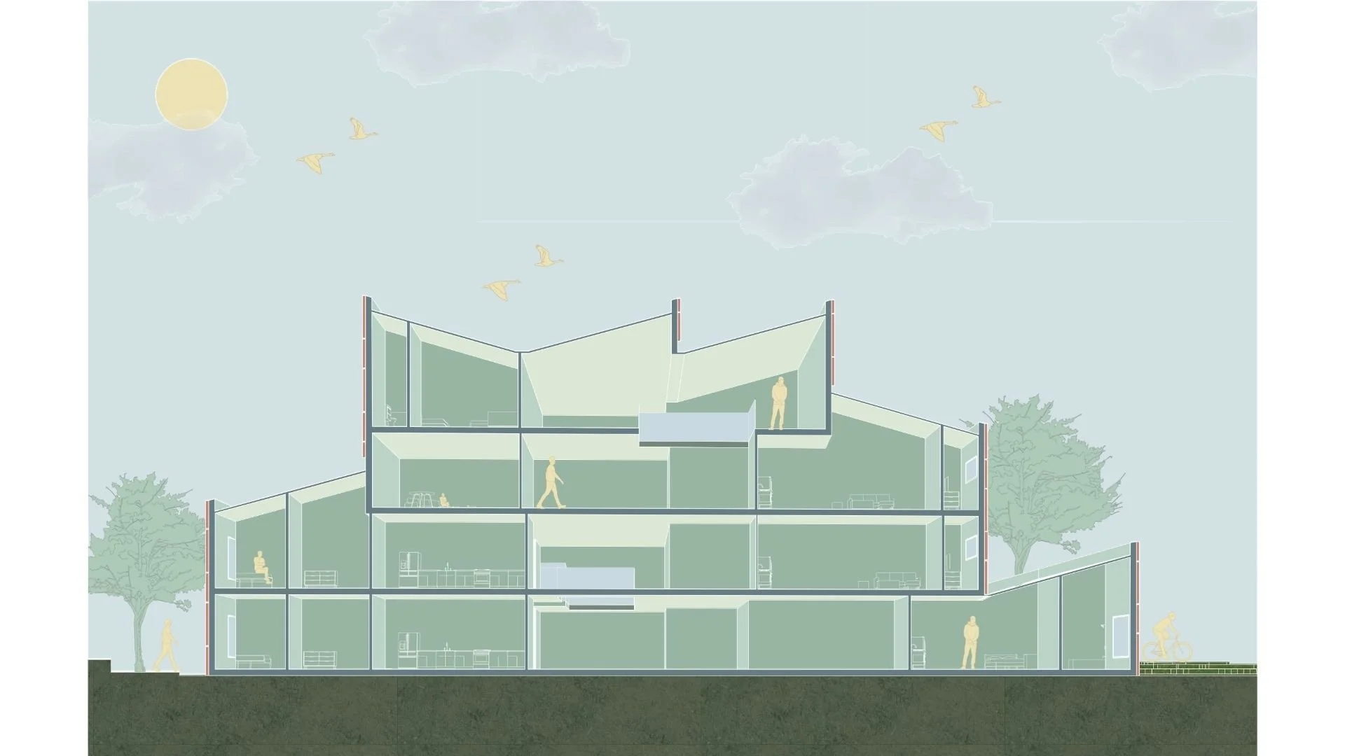 Section Perspective