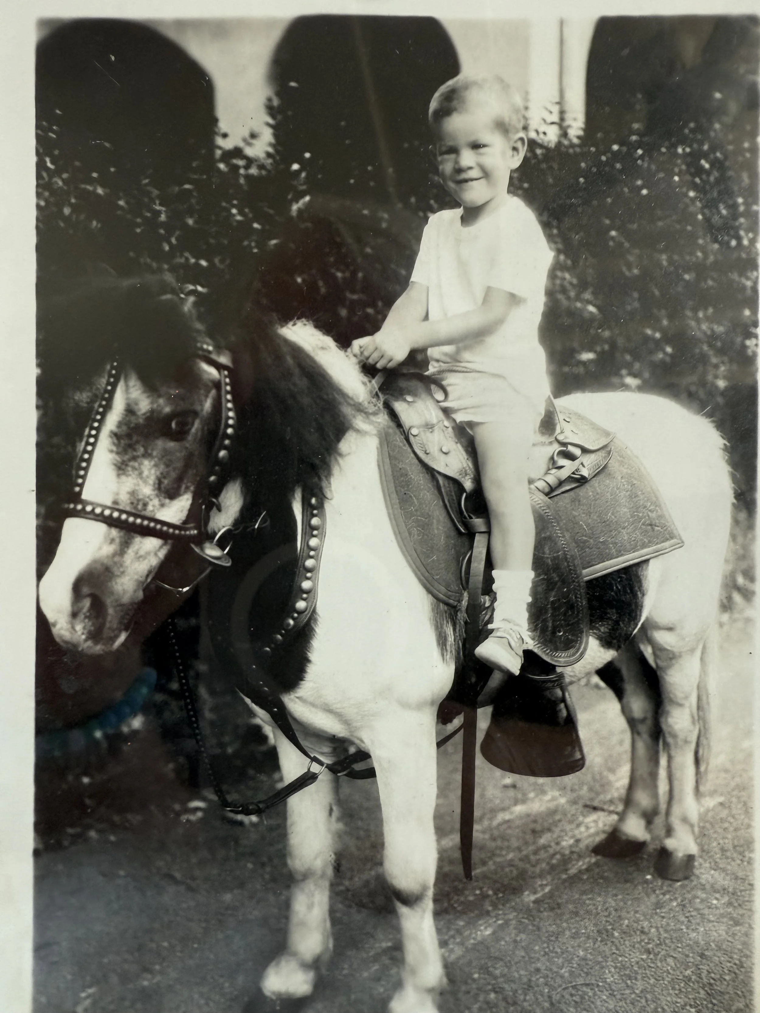 A young boy riding a horse in an outdoor setting with bushes in the background, smiling at the camera.