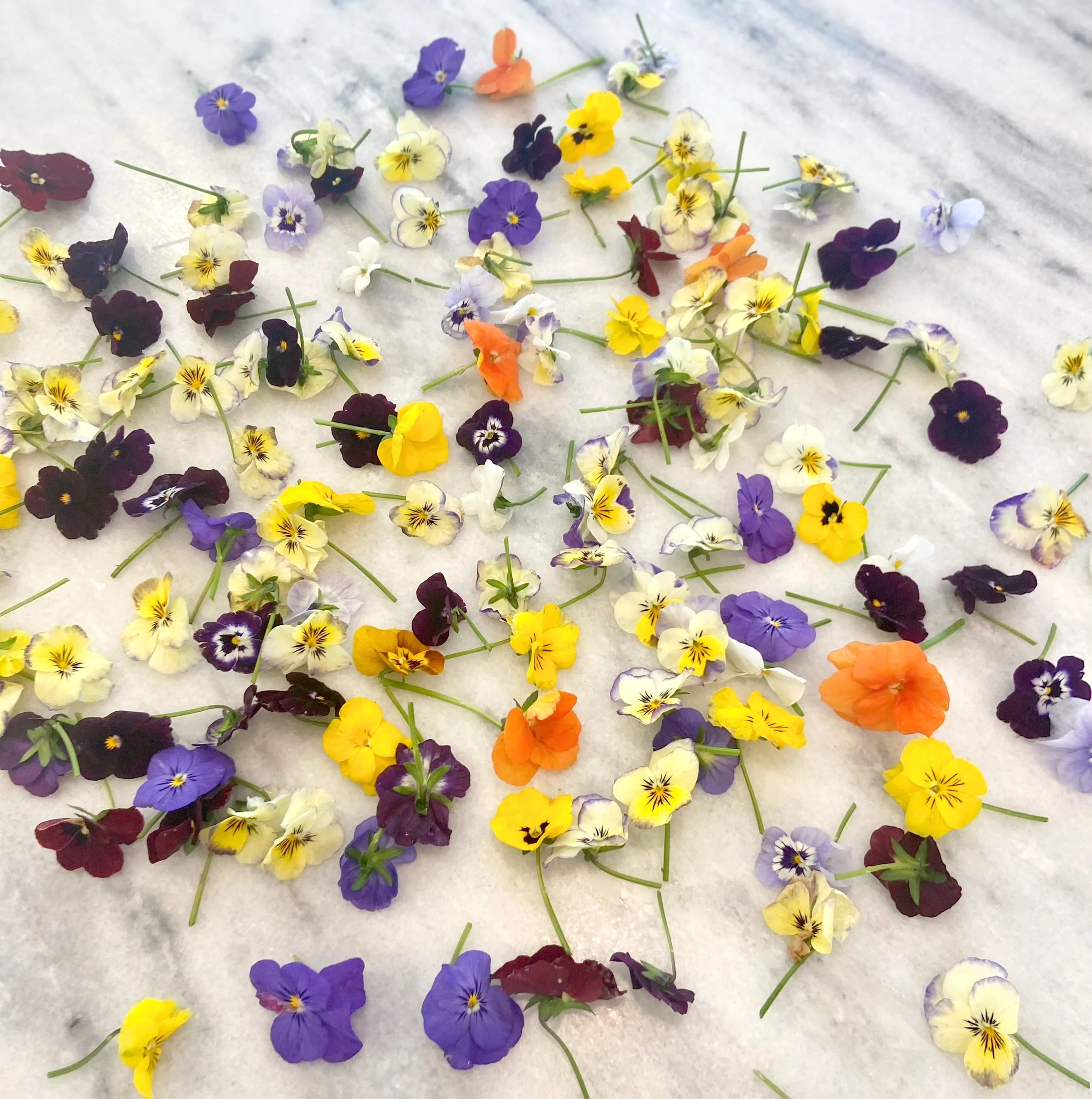 Artisanal flower pressed cookies from Charleston pastry studio—perfect for weddings, bridal showers, private events, and local corporate gifting