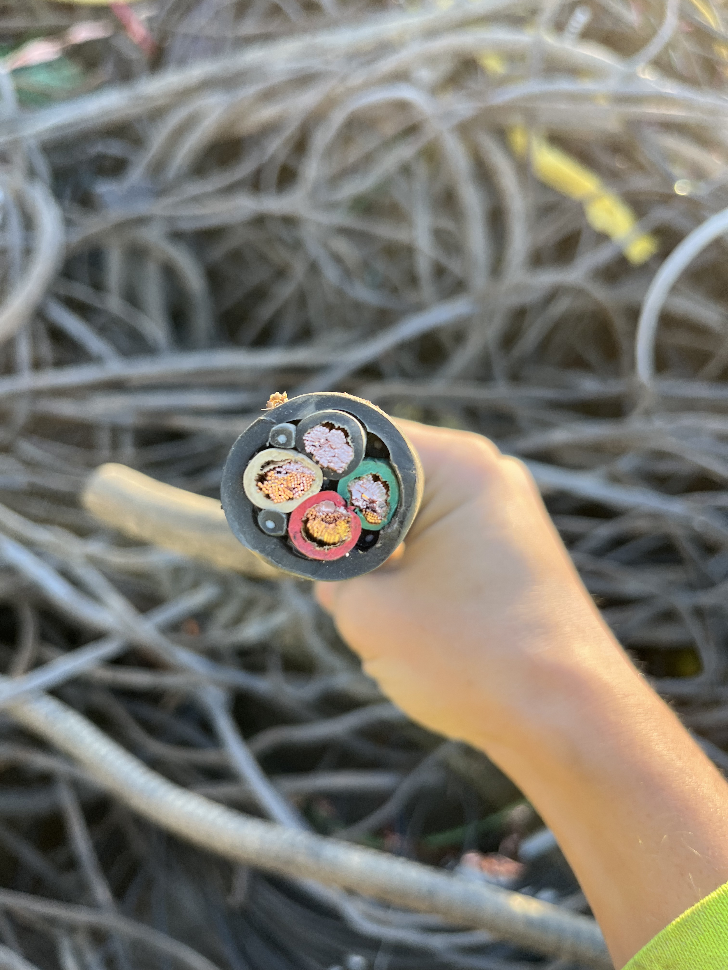 Insulated copper wire collected for scrap metal recycling
