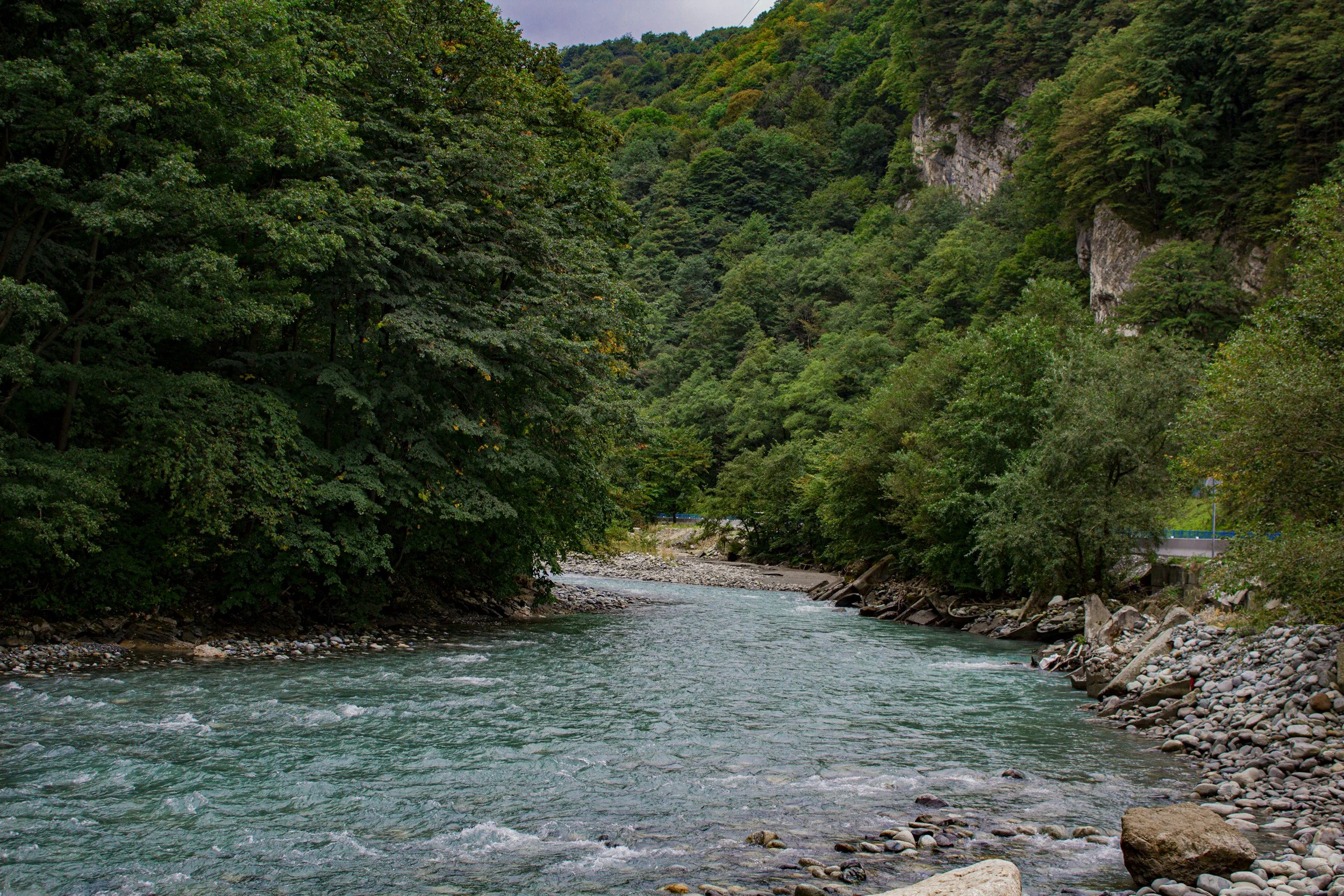 A river flowing through a lush green forested valley with rocky hills on either side.